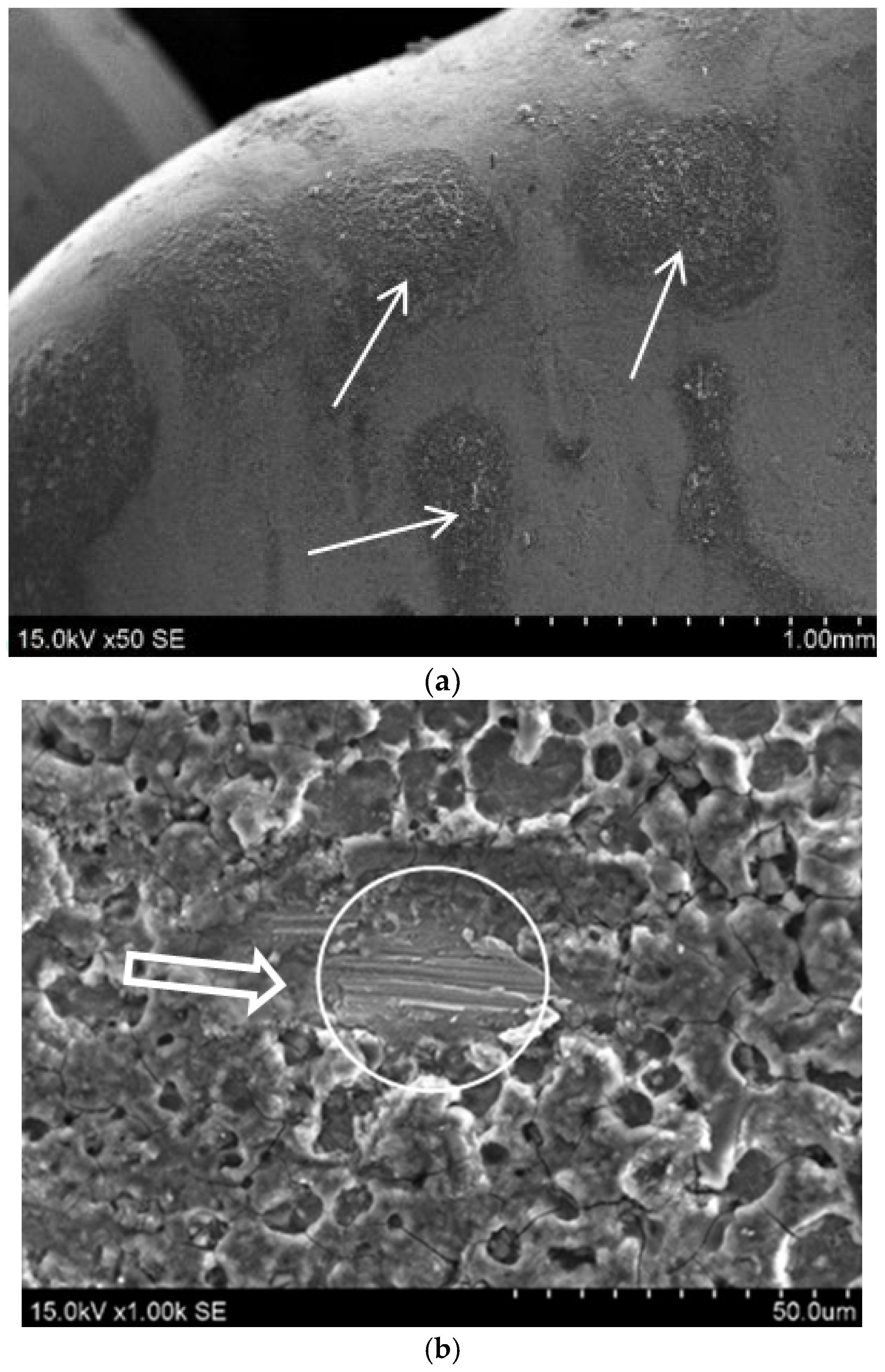 Applsci 13 07384 g015 Applsci 13 07384 g015