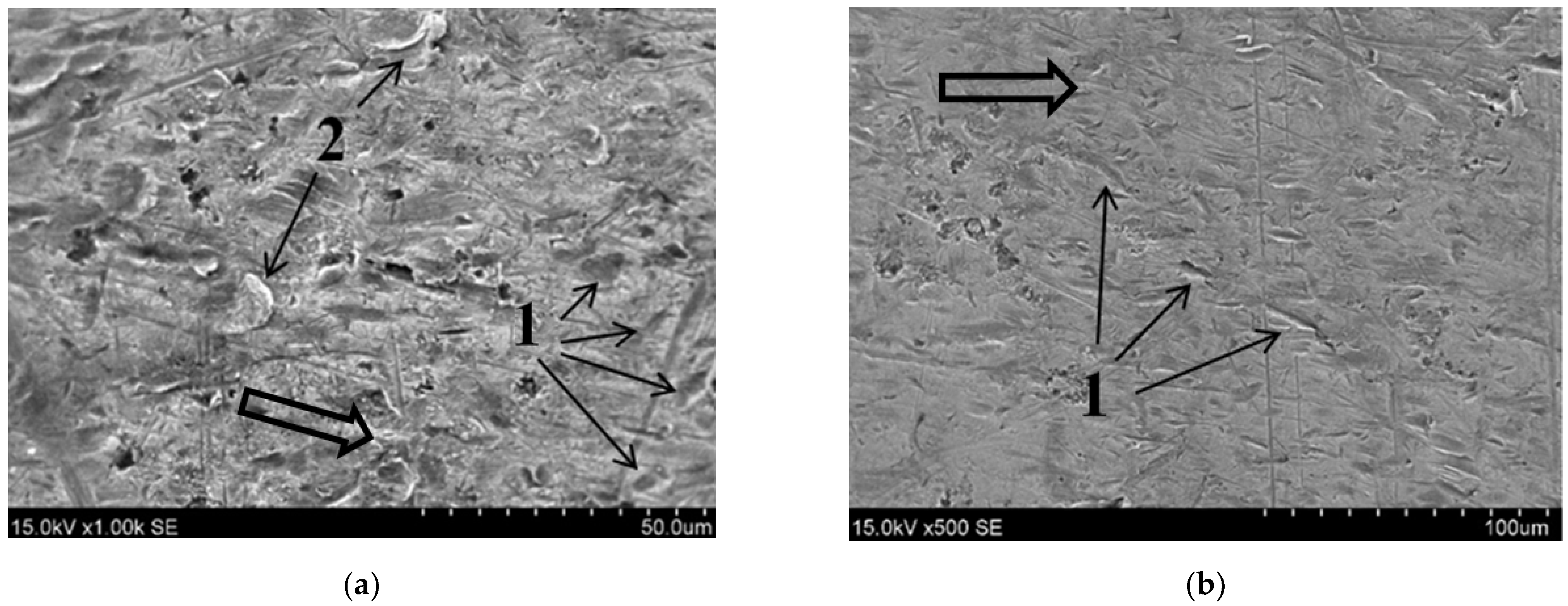 Applsci 13 07384 g017 Applsci 13 07384 g017