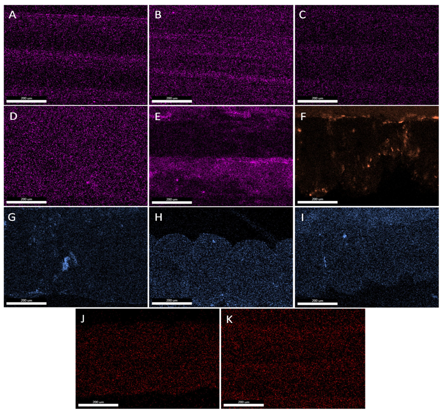 Applsci 13 07393 g015