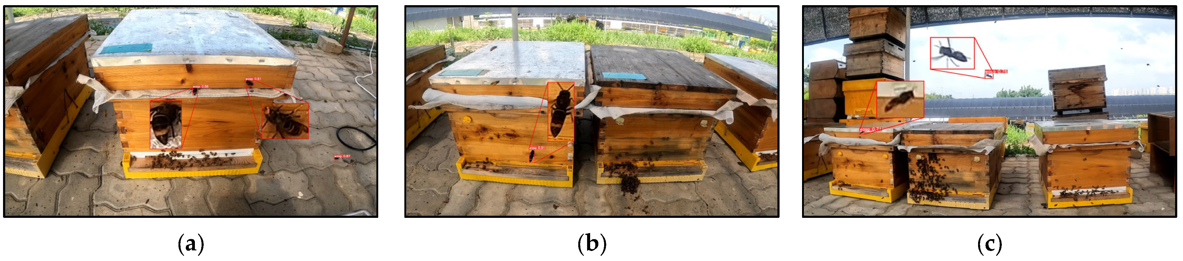 Applsci 13 07414 g007