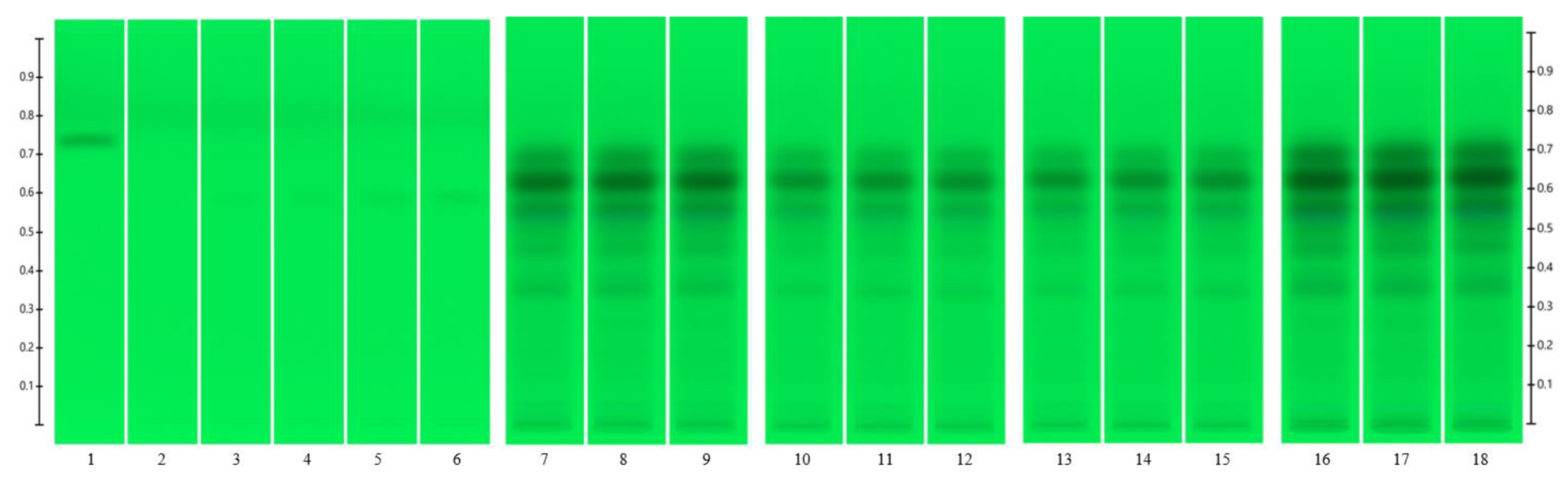 Applsci 13 07440 g001