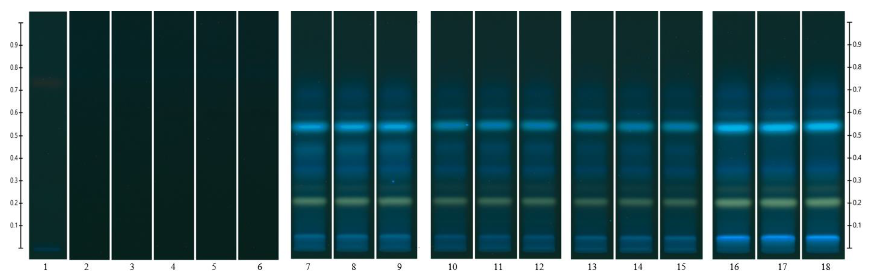 Applsci 13 07440 g002