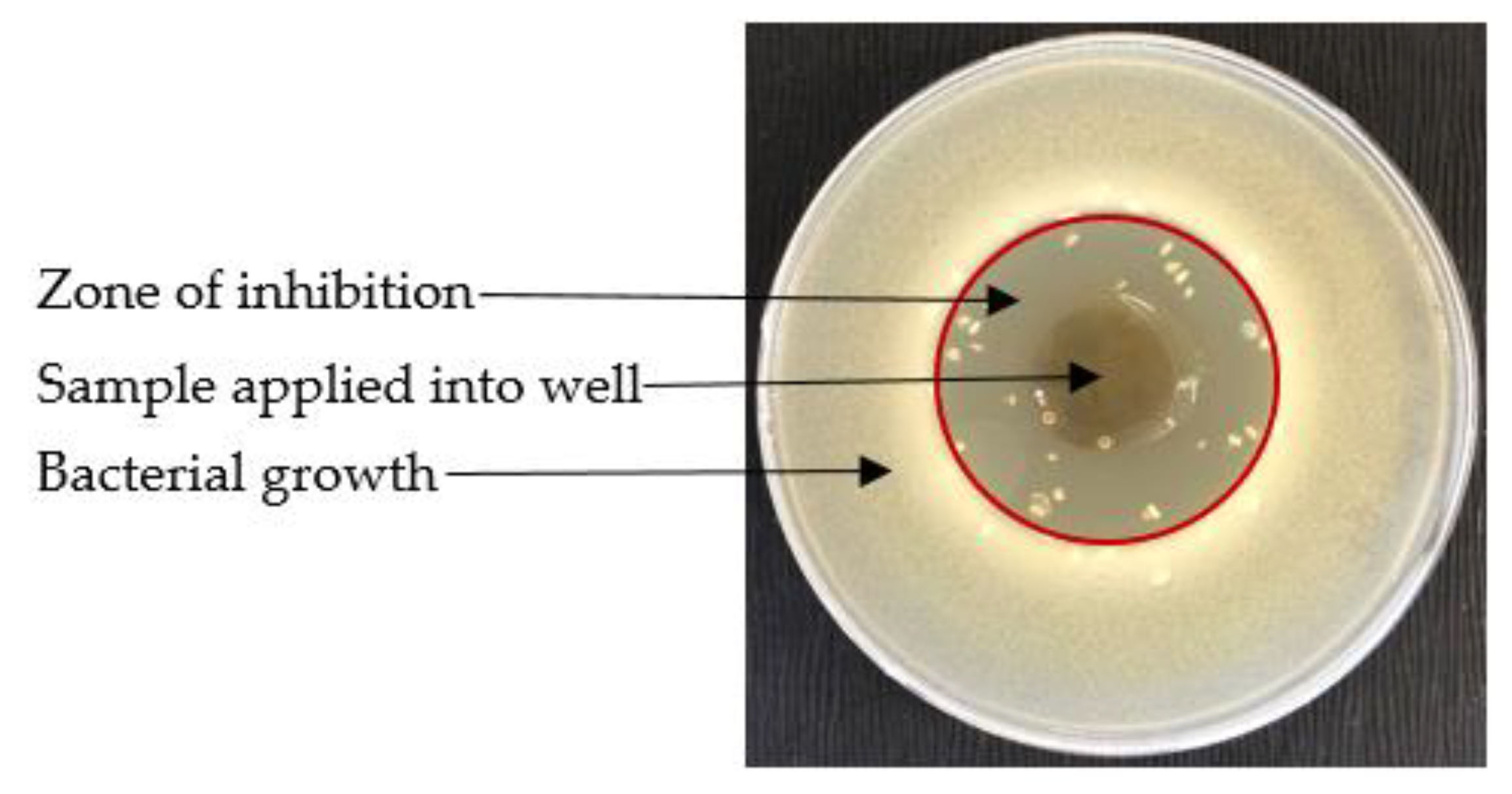 Applsci 13 07440 g005