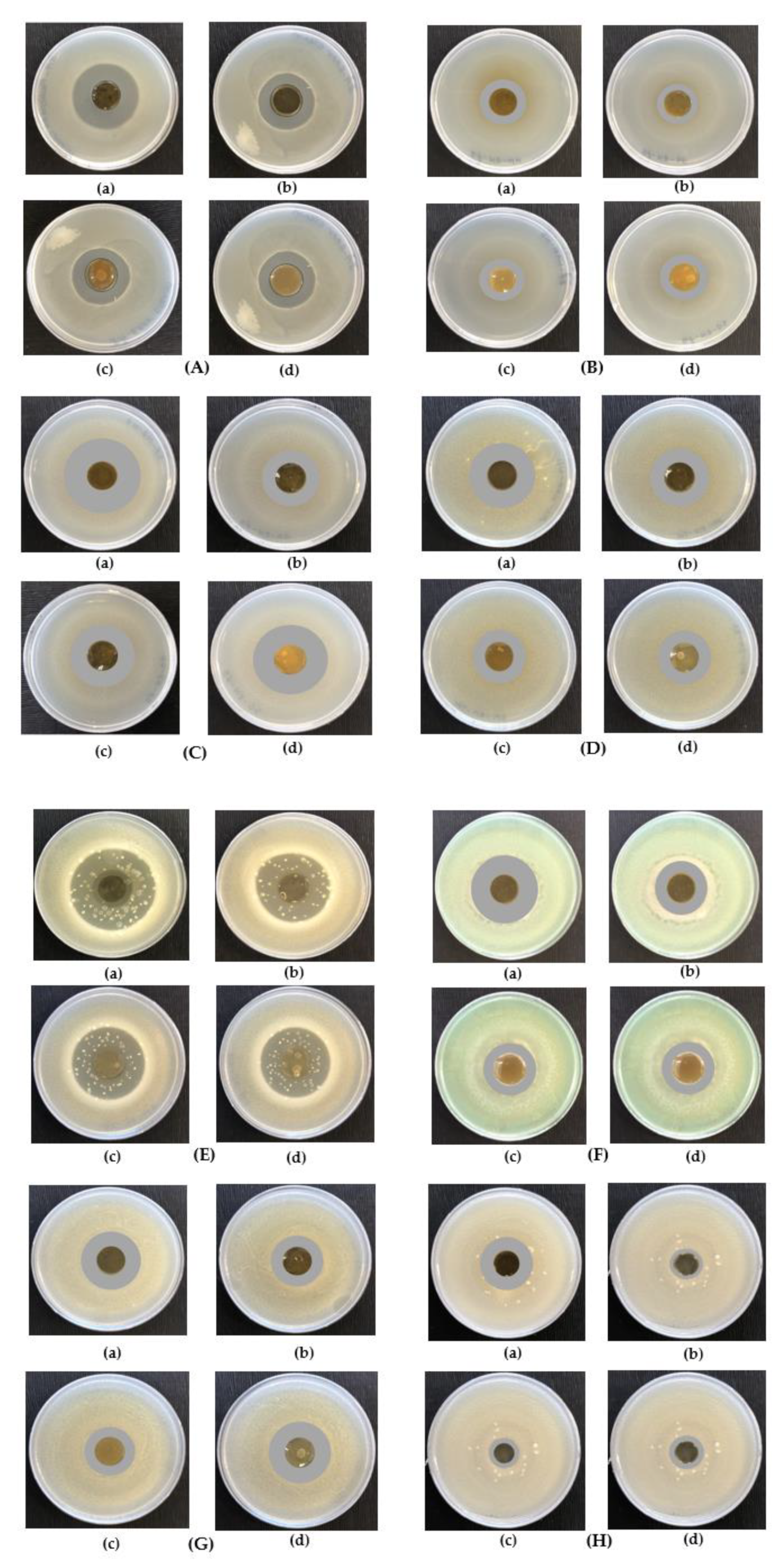 Applsci 13 07440 g006