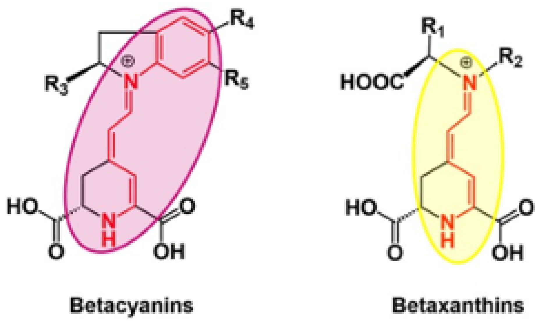 Applsci 13 07445 g002 Applsci 13 07445 g002