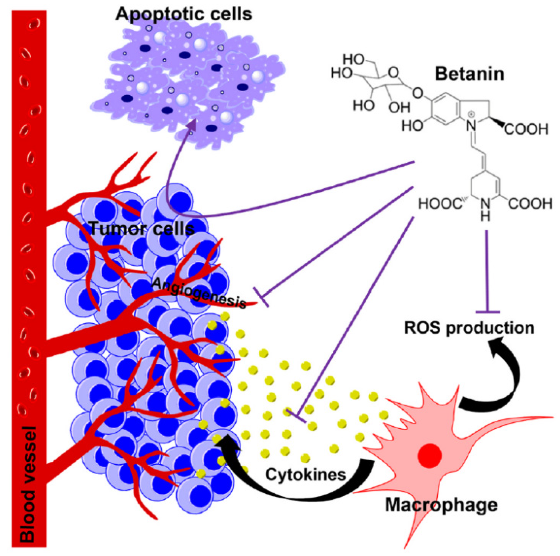Applsci 13 07445 g003 Applsci 13 07445 g003