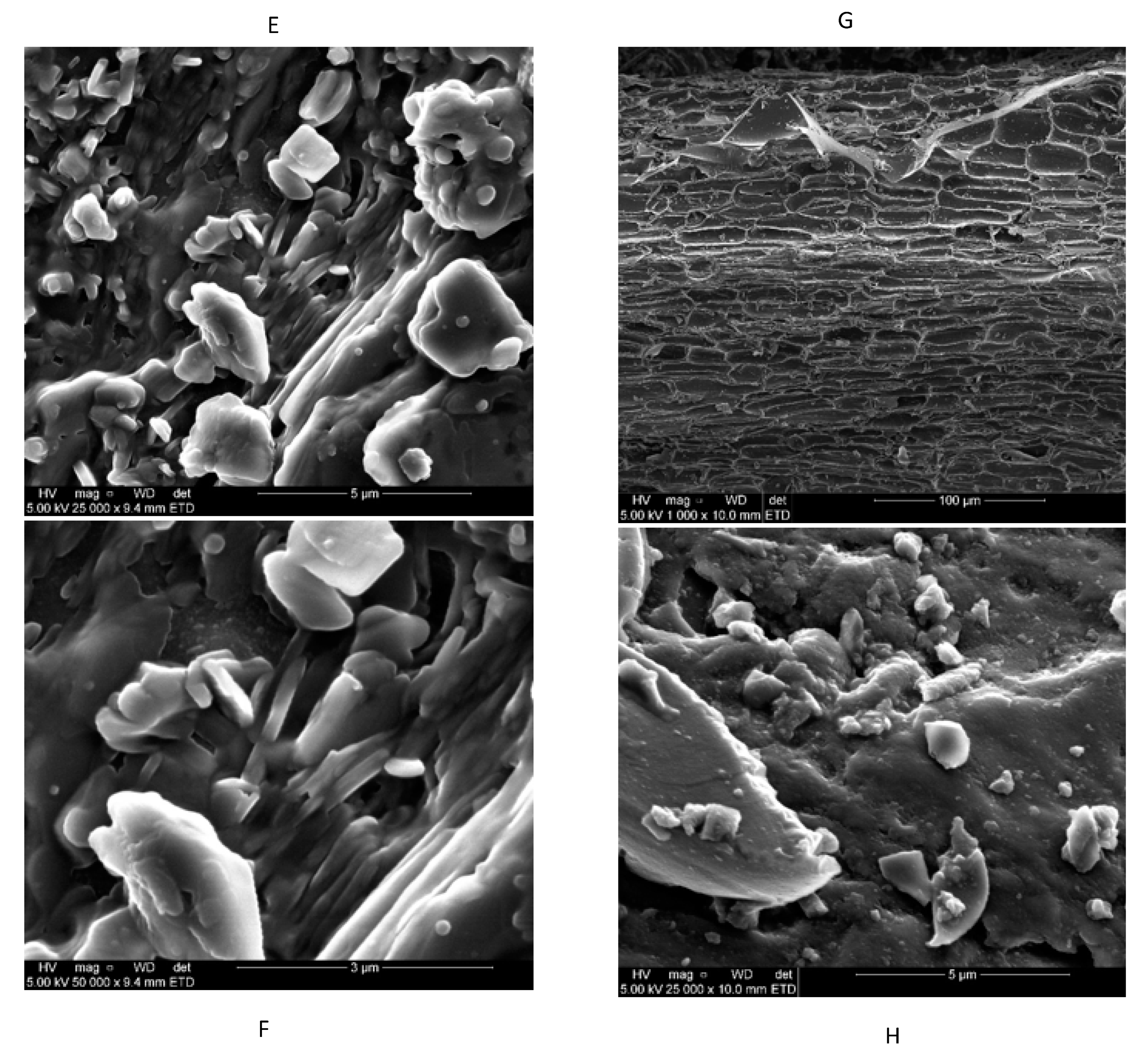 Applsci 13 07493 g004b Applsci 13 07493 g004b