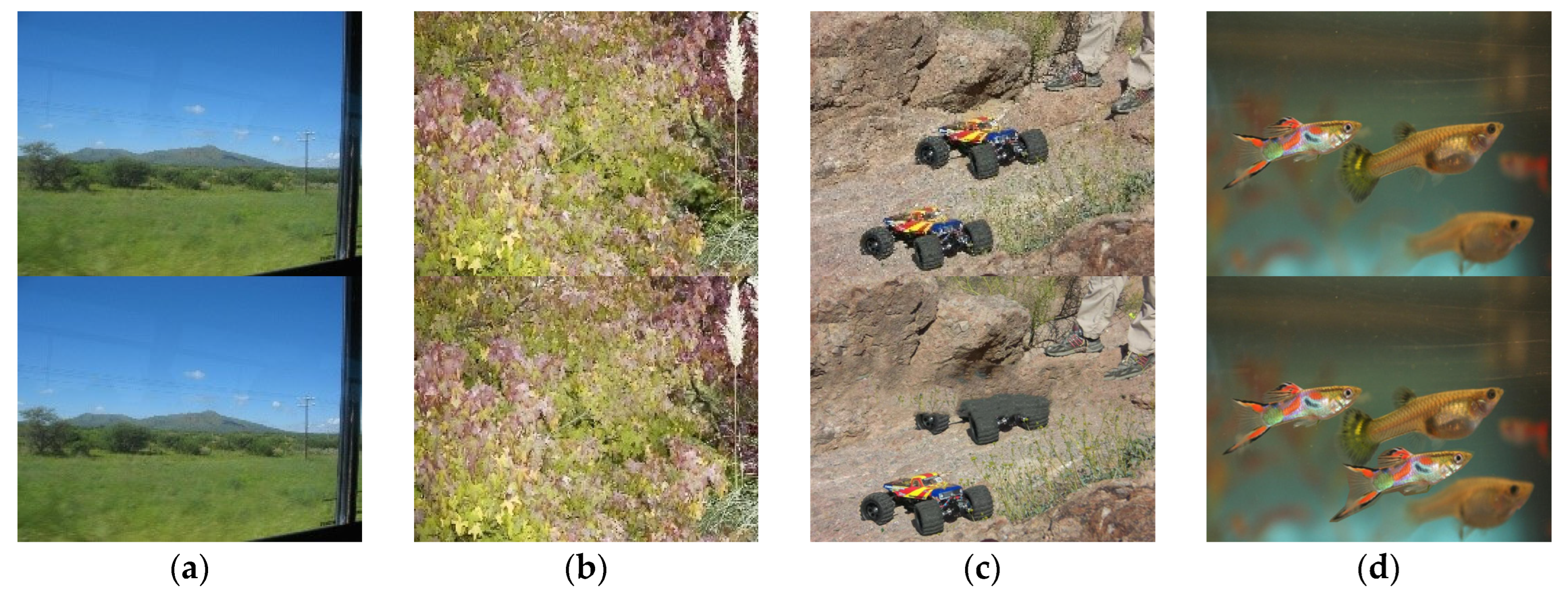 Applsci 13 07528 g005 Applsci 13 07528 g005