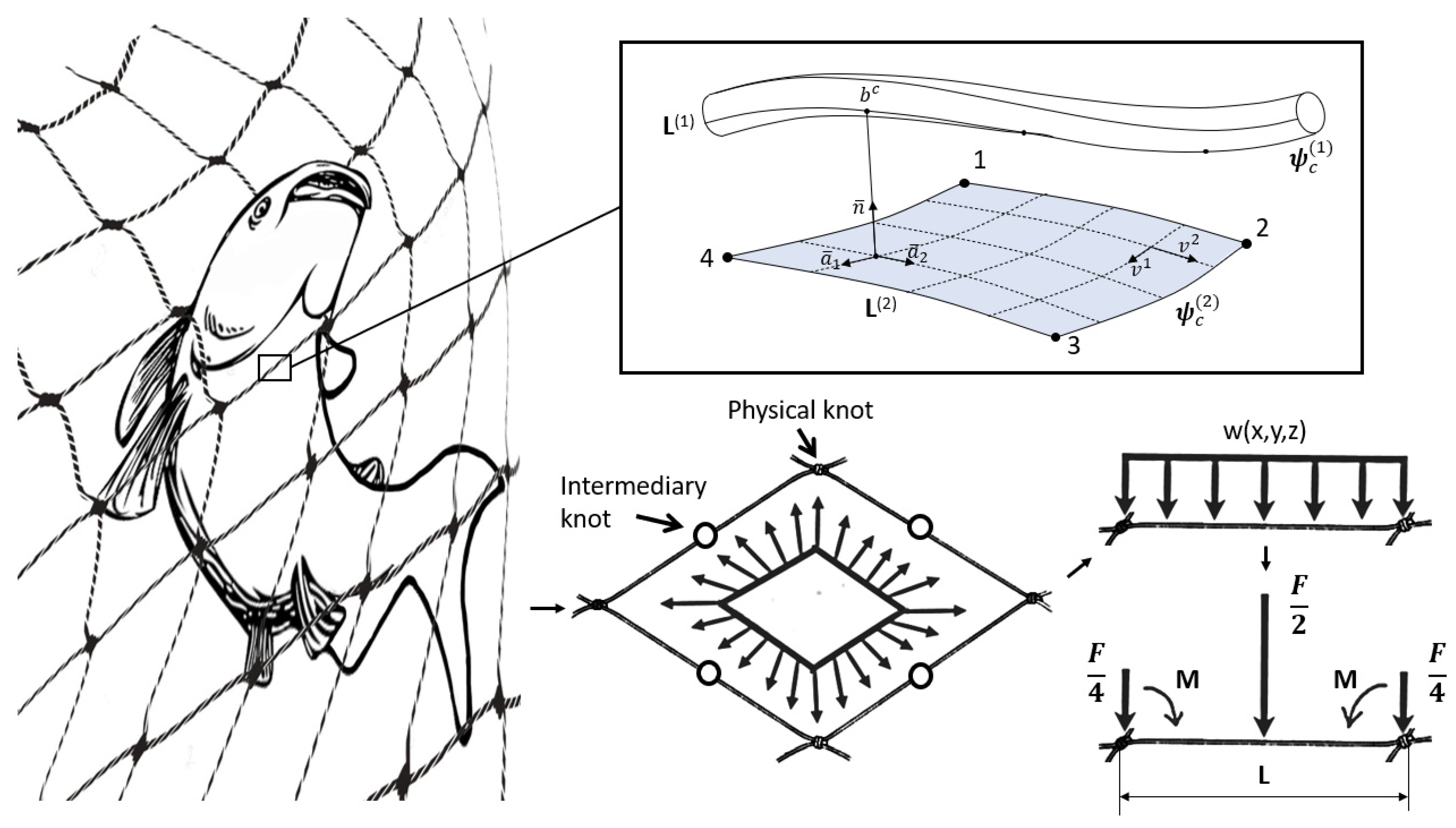 Applsci 13 07536 g001 Applsci 13 07536 g001