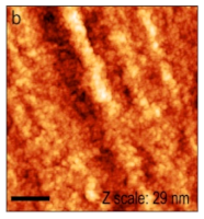 Applsci 13 07662 i014 Applsci 13 07662 i014