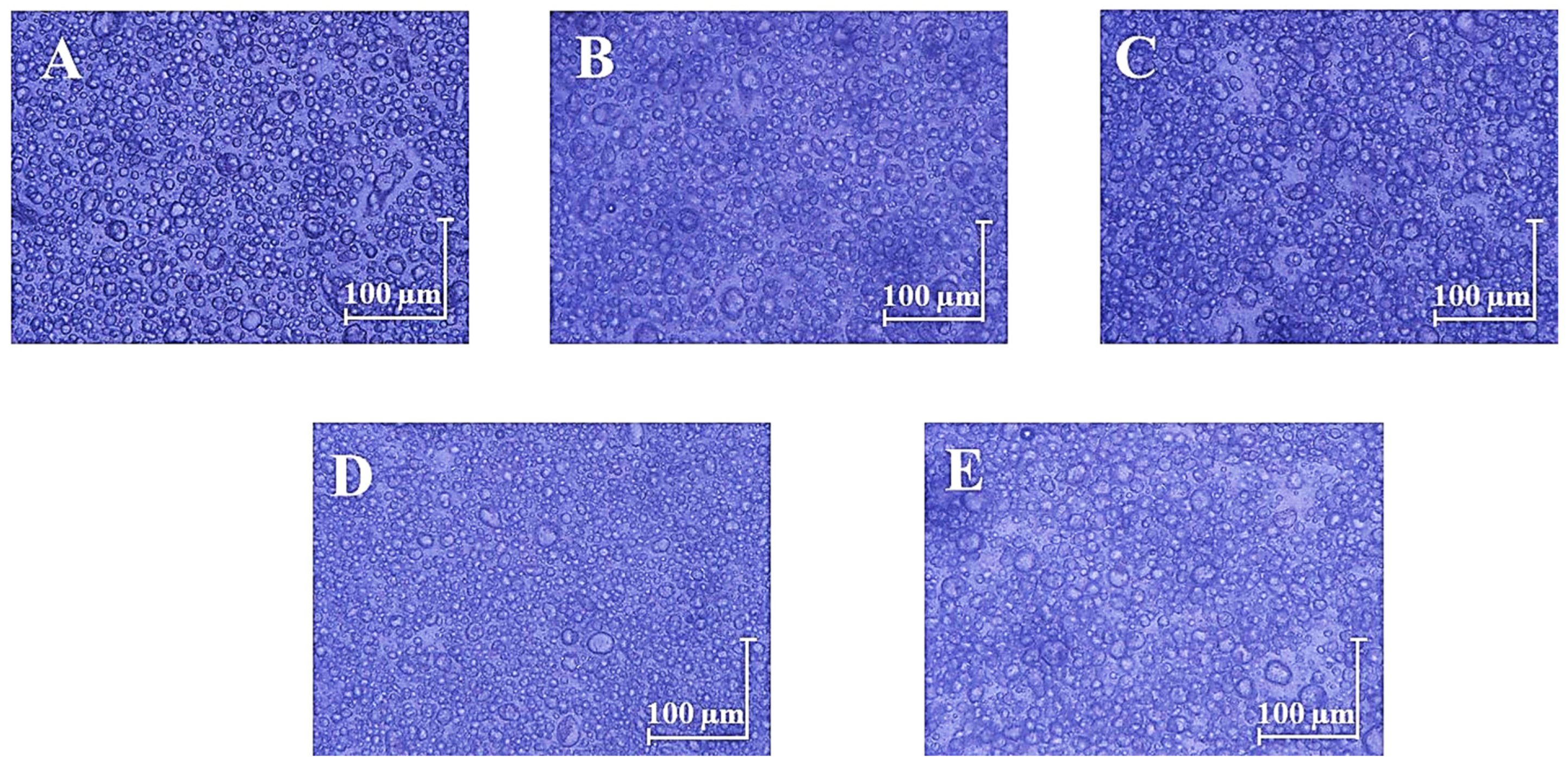 Applsci 13 07674 g004