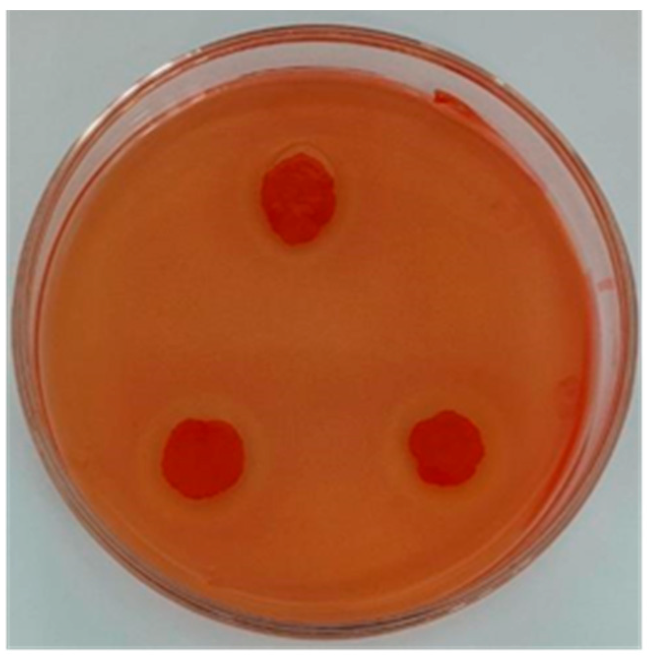 Applsci 13 07693 g001 Applsci 13 07693 g001