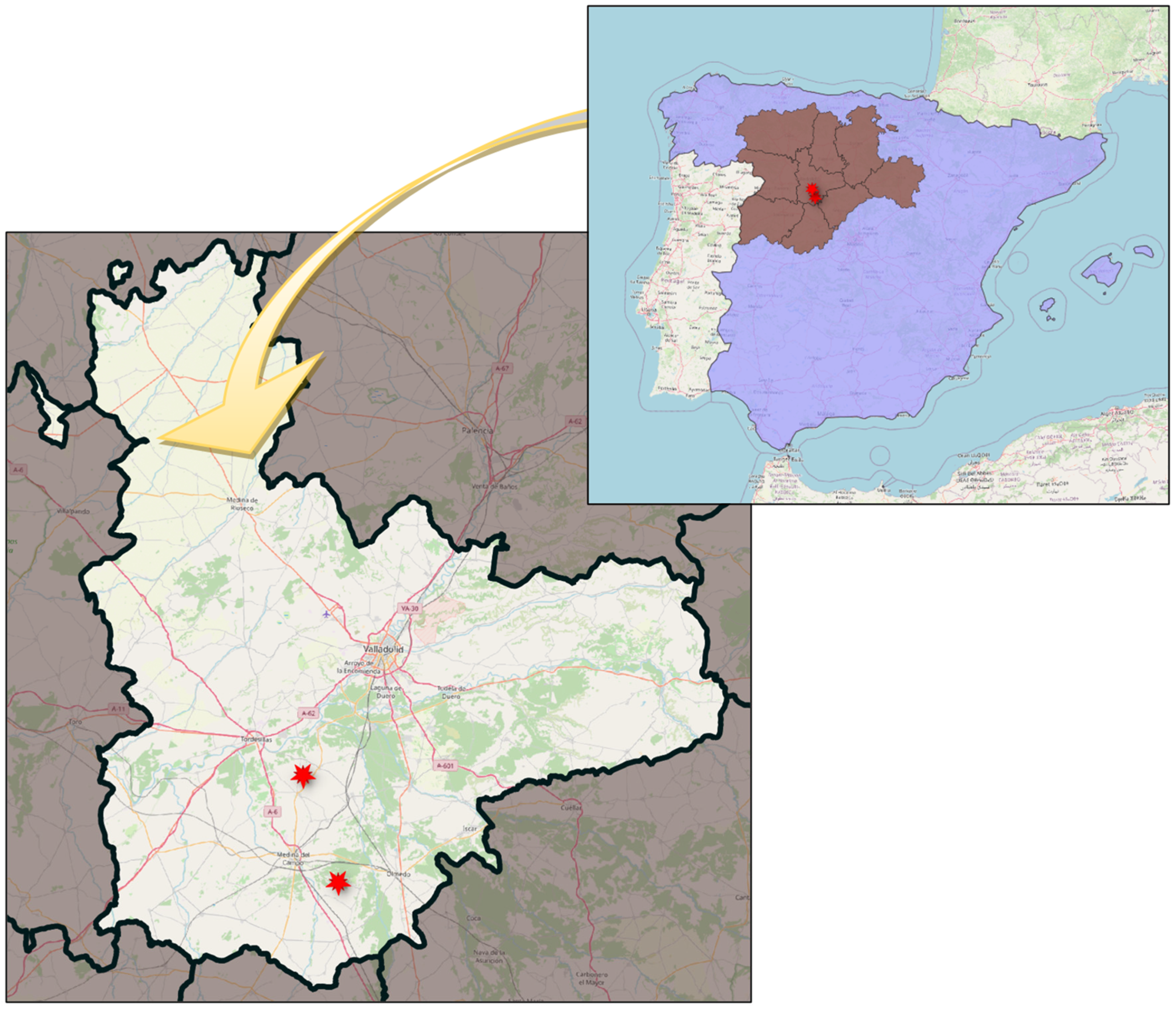 Applsci 13 07716 g001