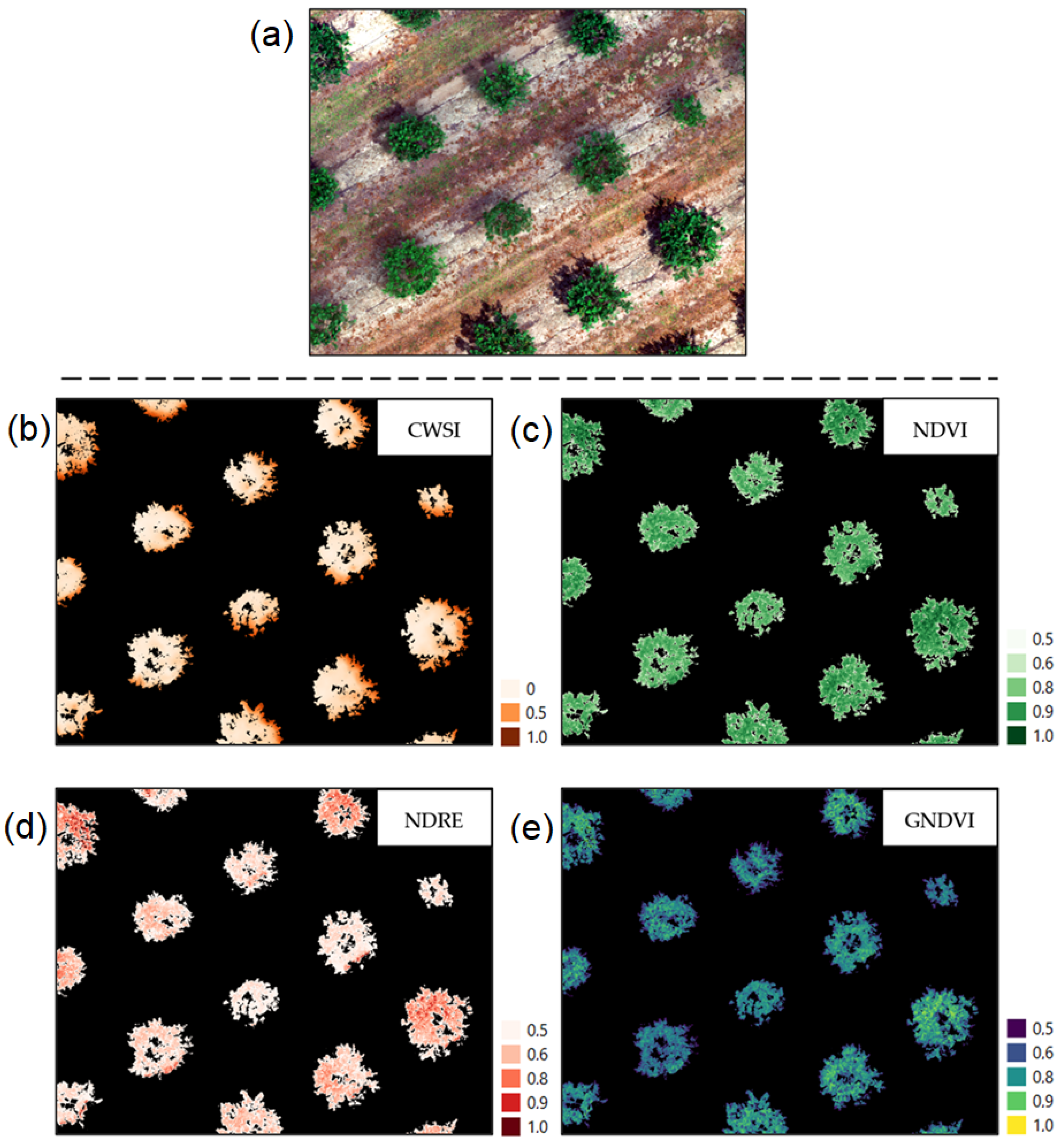 Applsci 13 07716 g004