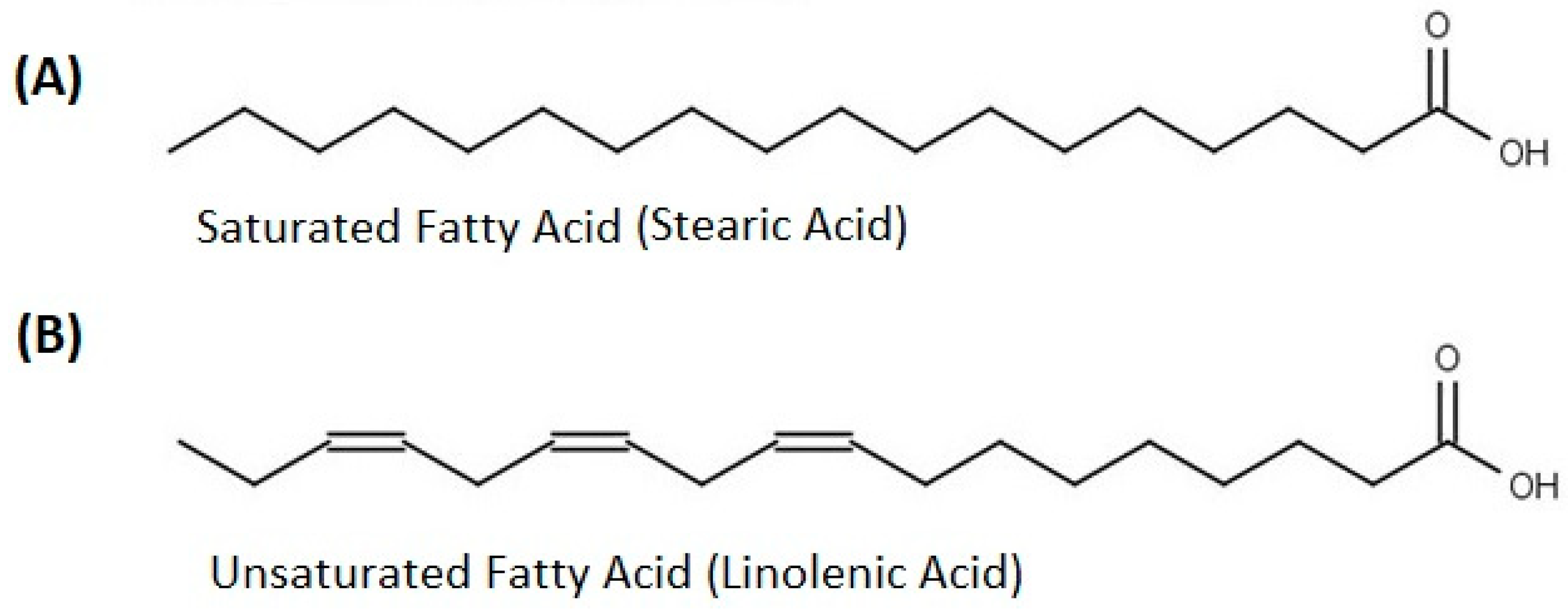 Applsci 13 07724 g003