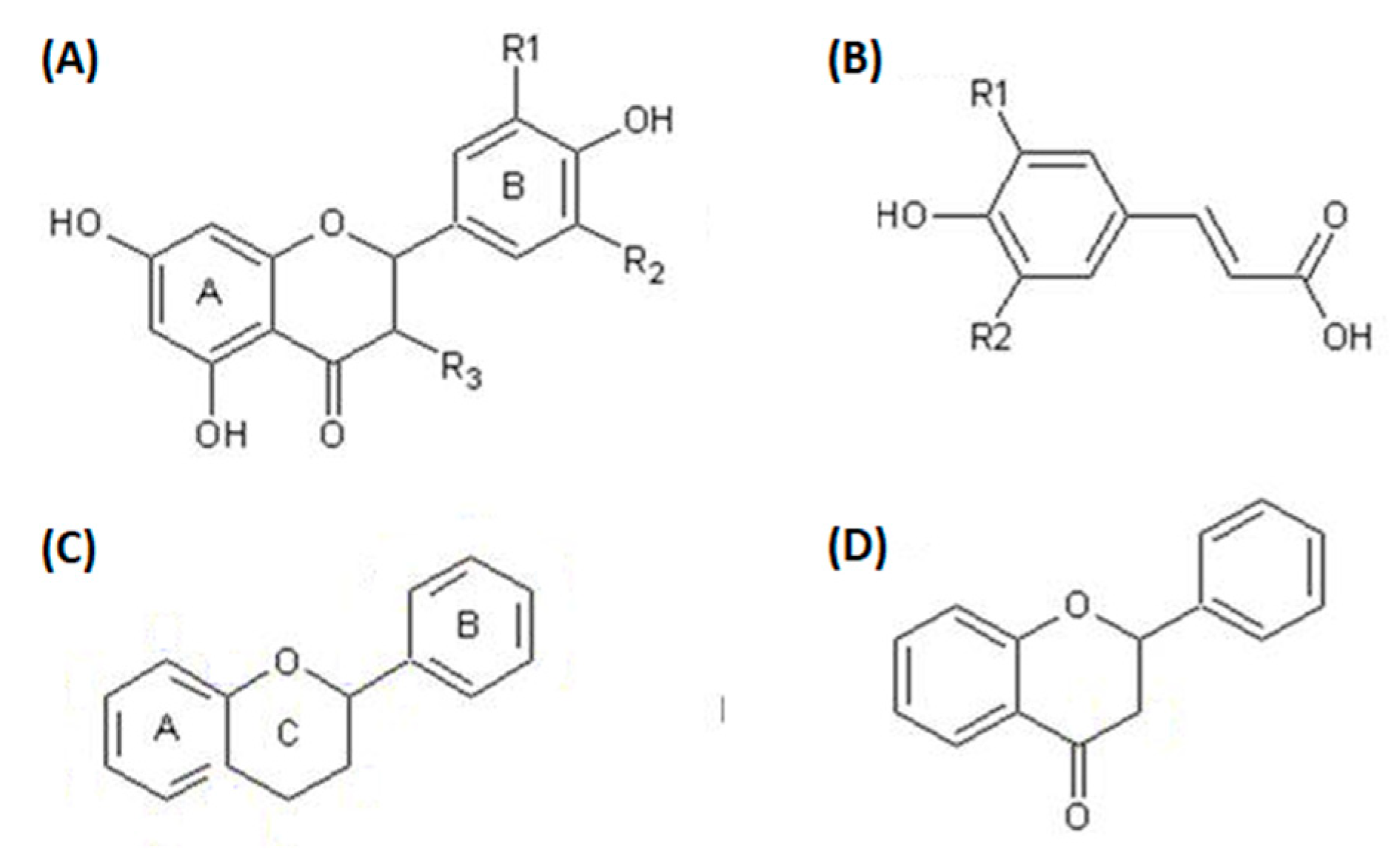 Applsci 13 07724 g004