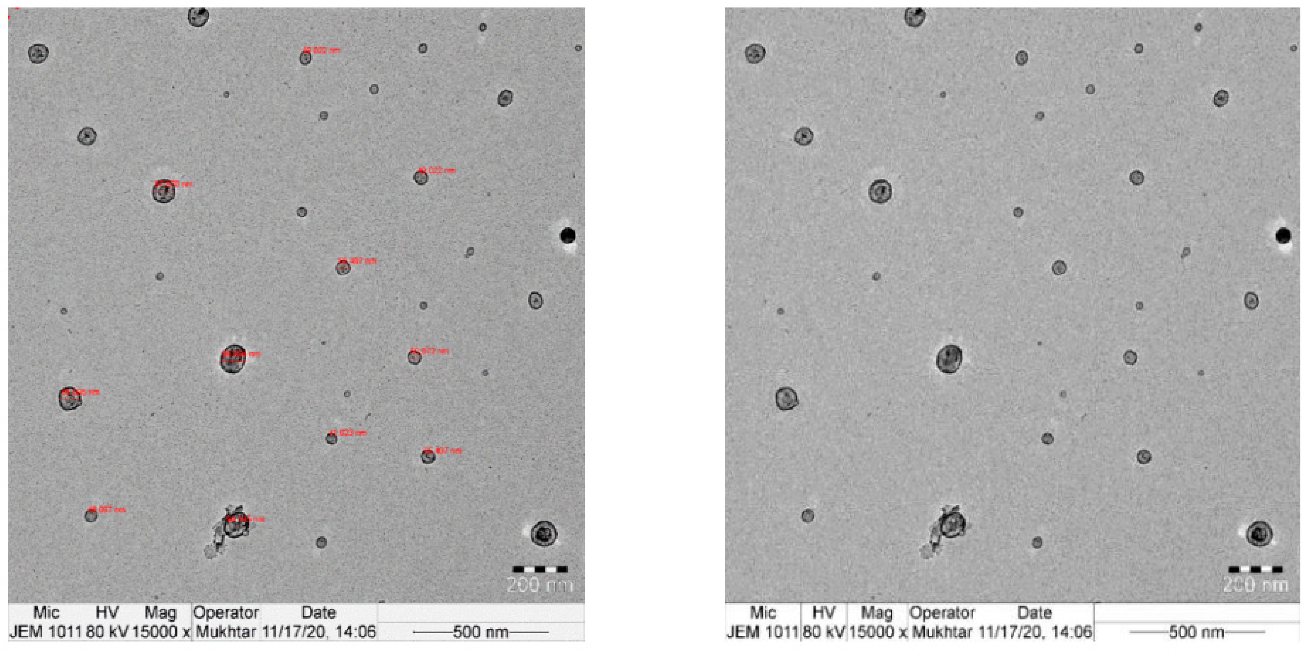 Applsci 13 07781 g003