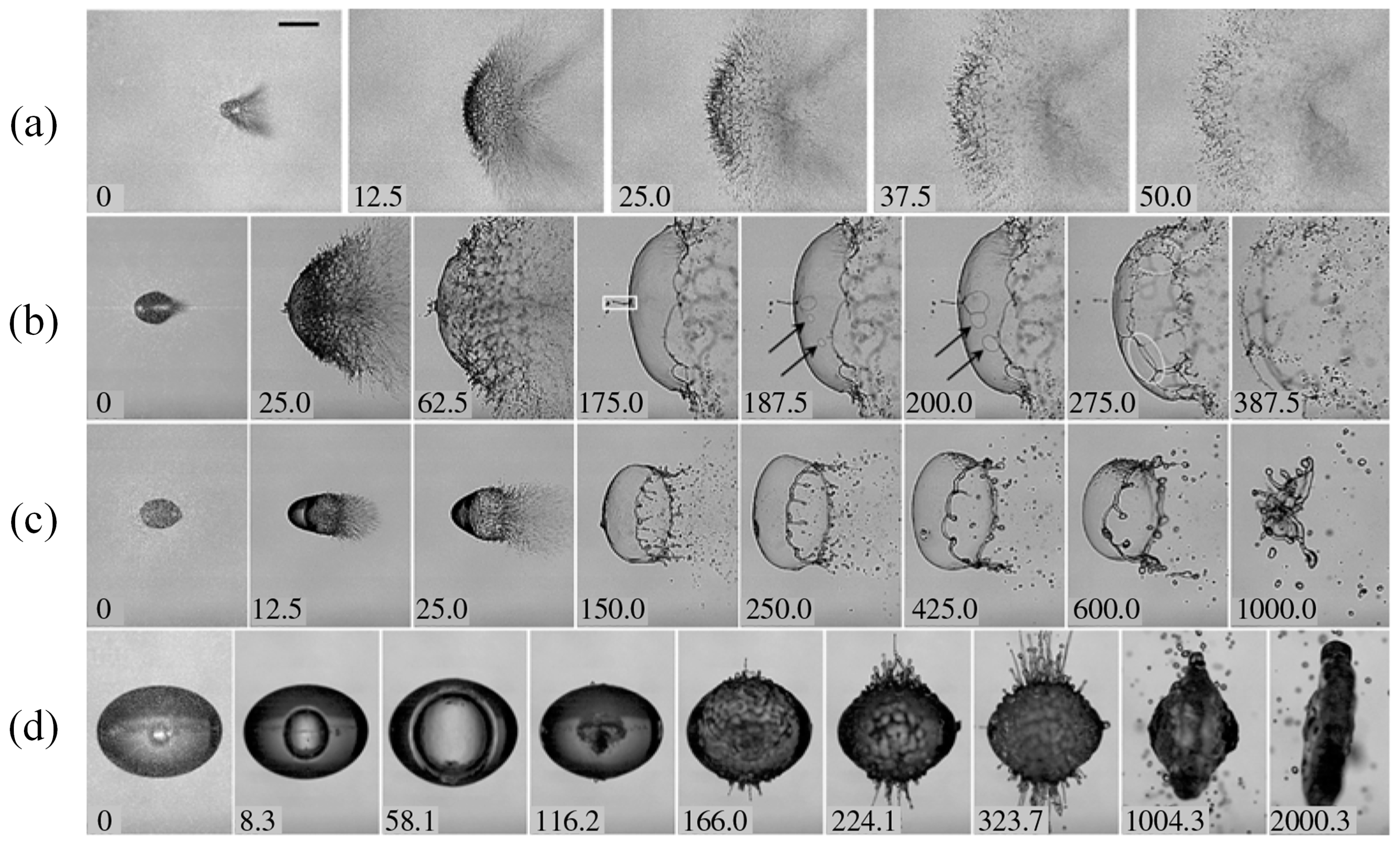 A Review of the Dynamics Progress of Bubble Collapse within Droplet and ...