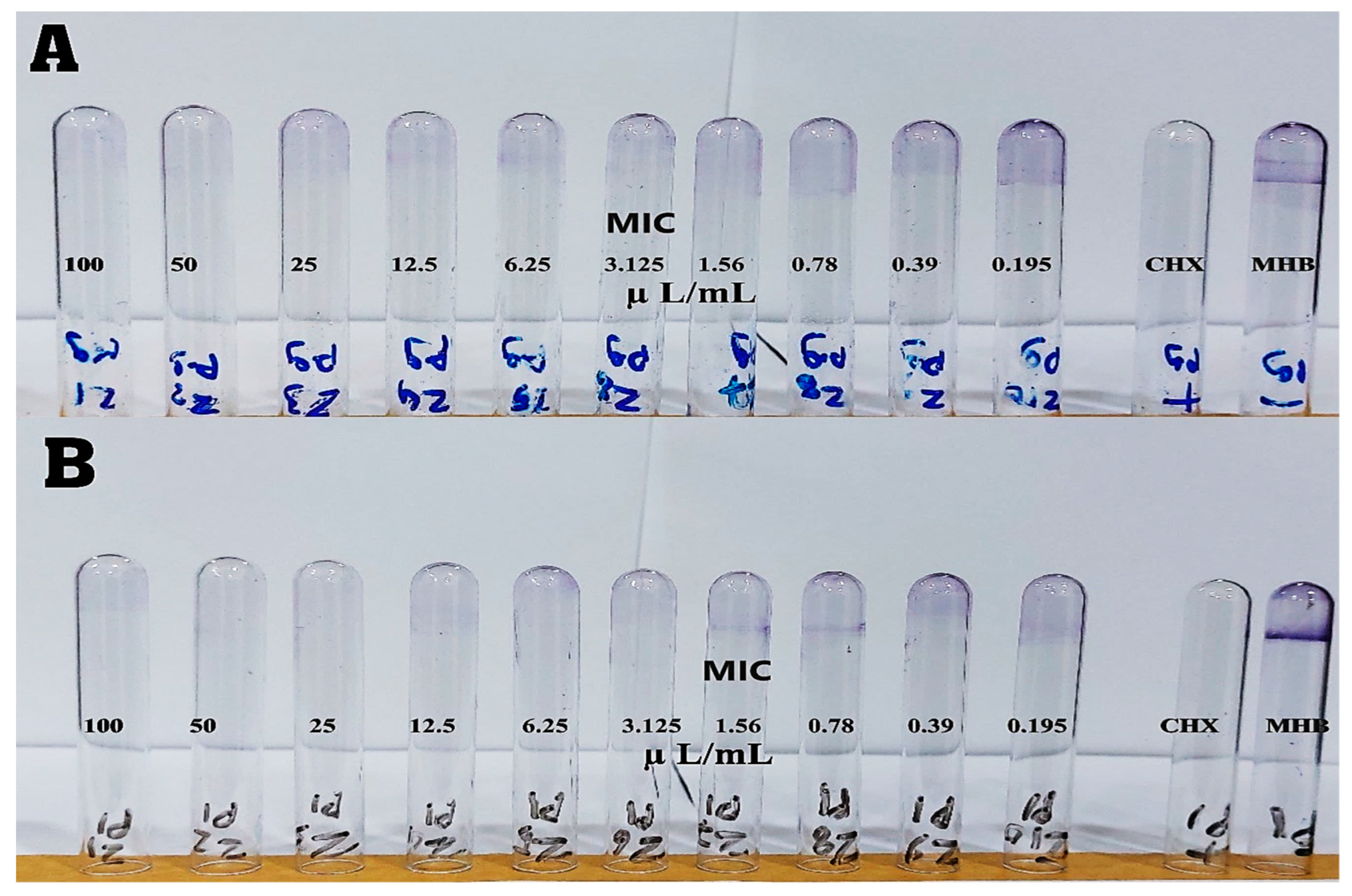 Applsci 13 07996 g006