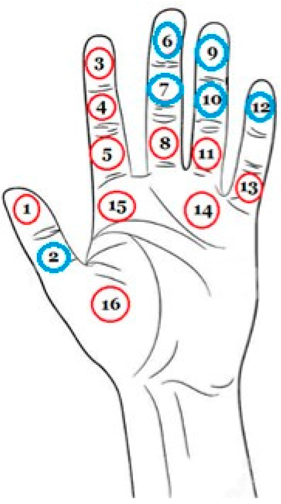 Applsci 13 08002 g015 Applsci 13 08002 g015