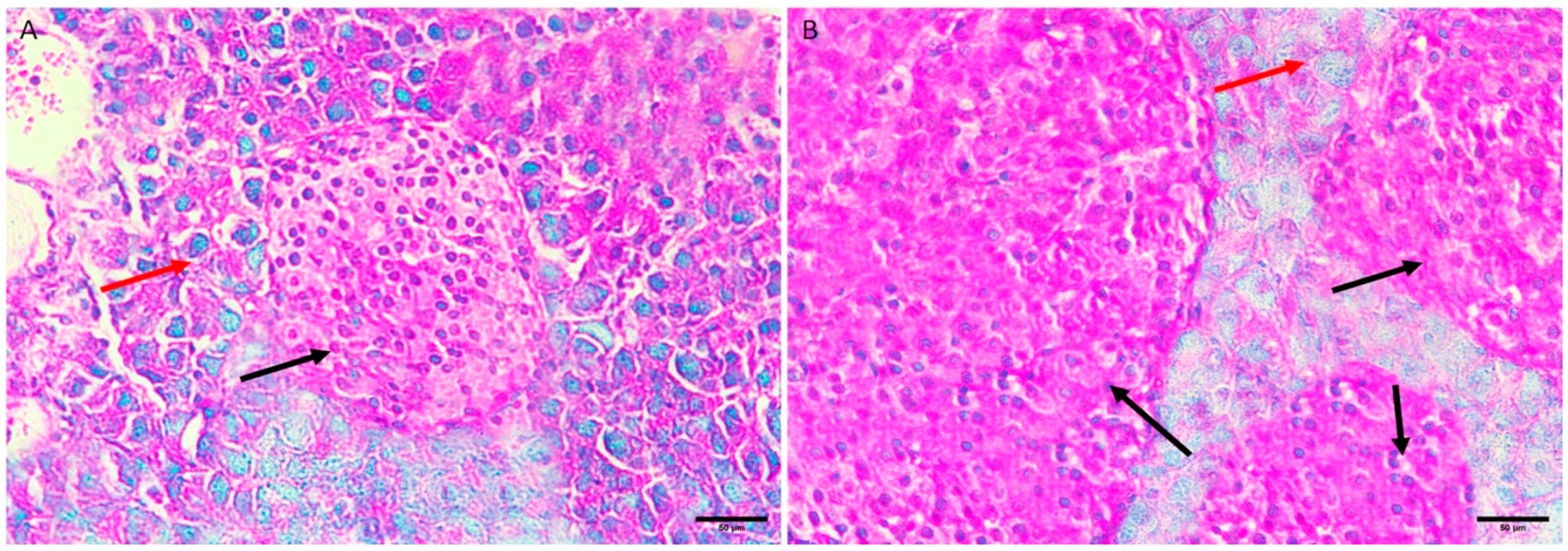 Applsci 13 08045 g001