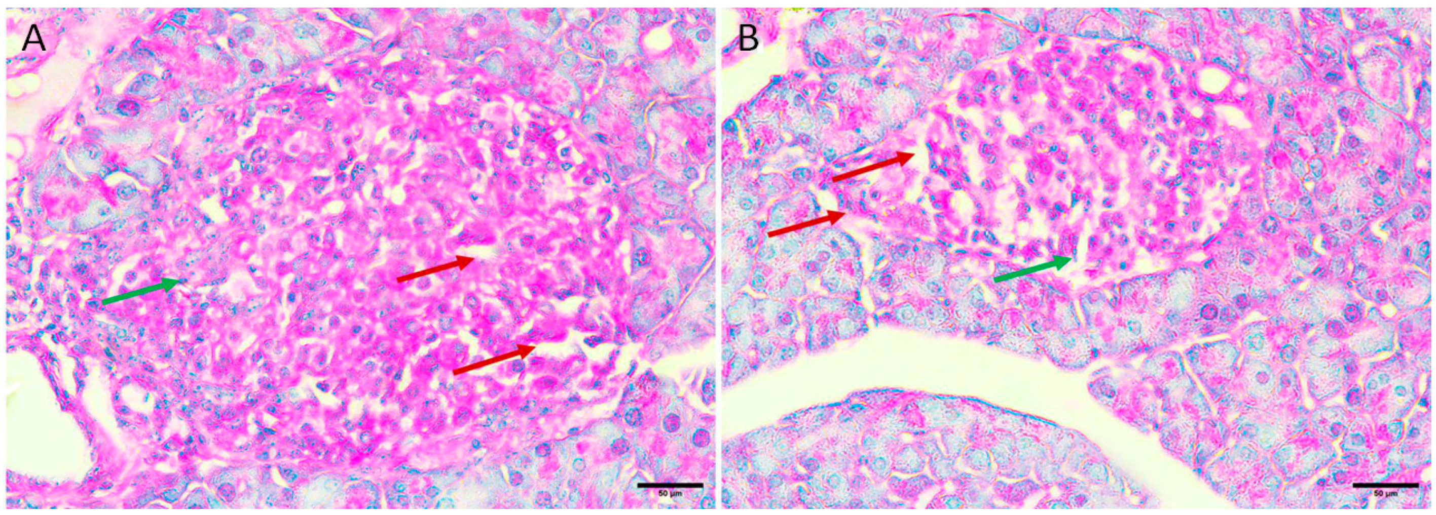 Applsci 13 08045 g003