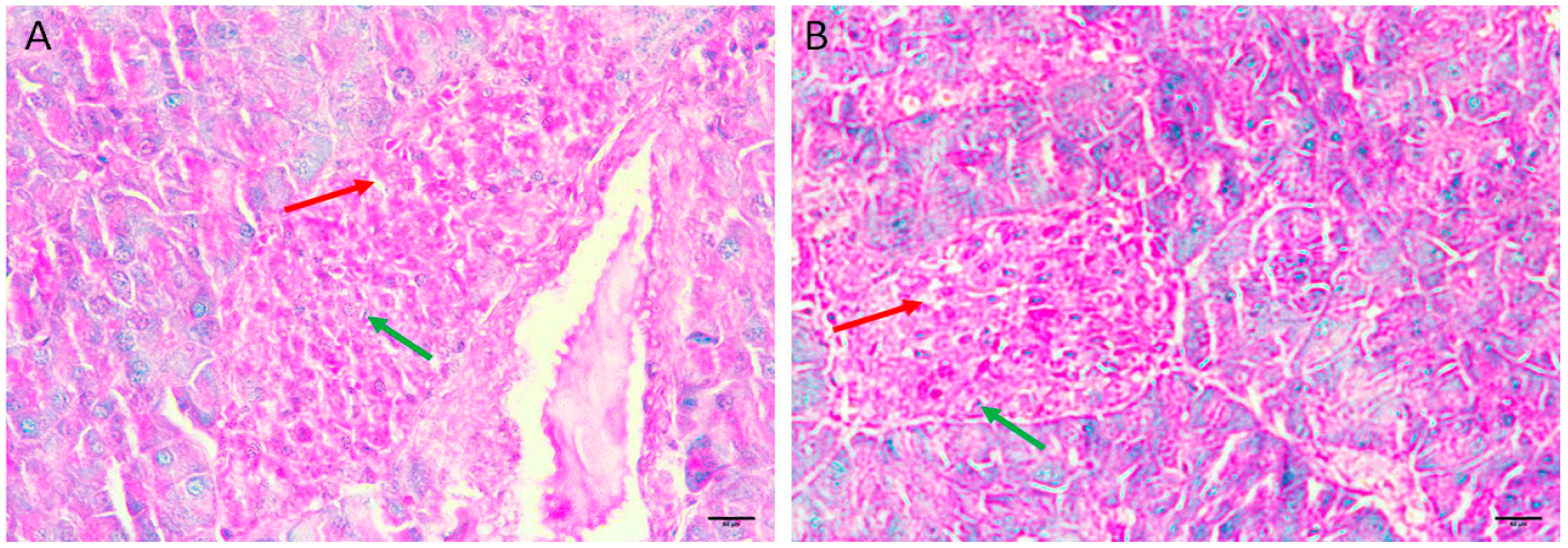 Applsci 13 08045 g004