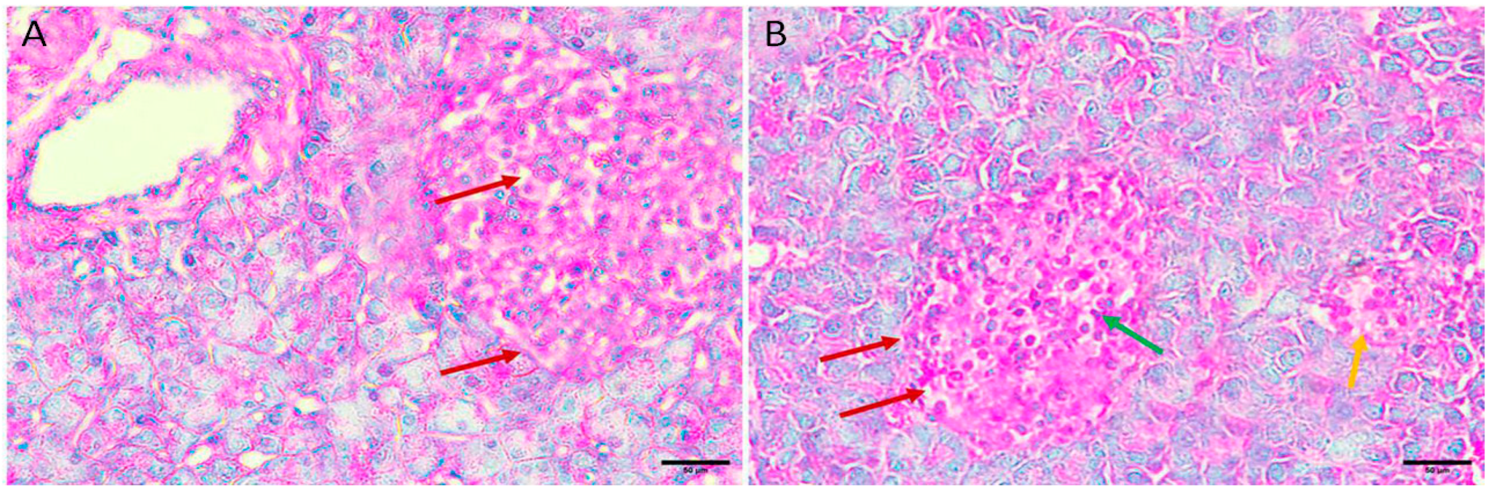 Applsci 13 08045 g005