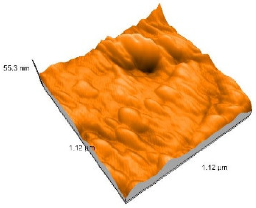 Applsci 13 08052 i001 Applsci 13 08052 i001