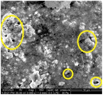 Applsci 13 08052 i015 Applsci 13 08052 i015