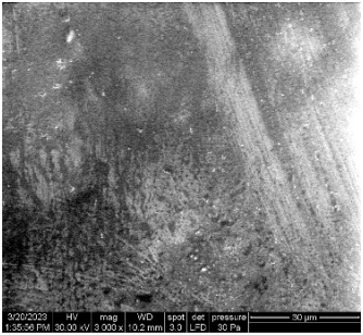 Applsci 13 08052 i017 Applsci 13 08052 i017