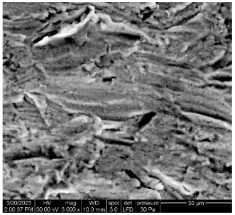 Applsci 13 08052 i020 Applsci 13 08052 i020