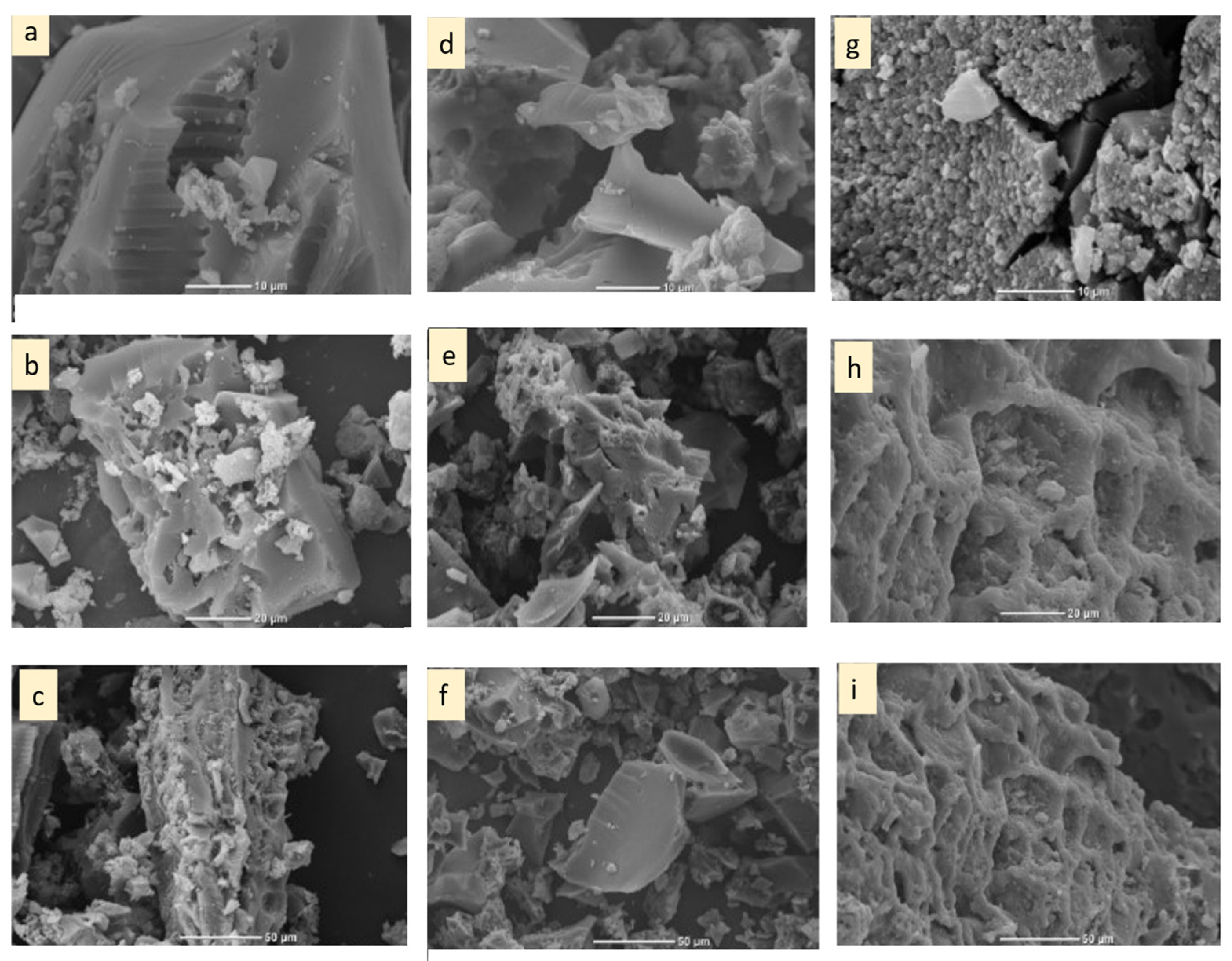 Applsci 13 08074 g001