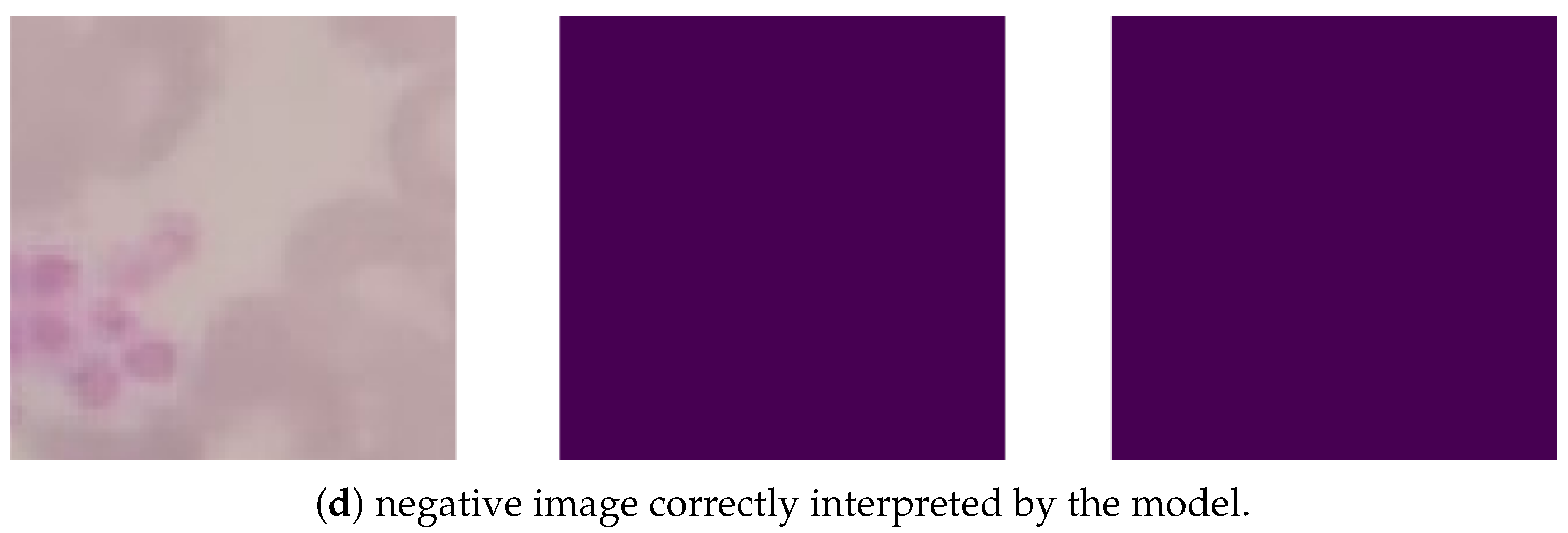 Applsci 13 08076 g007b Applsci 13 08076 g007b