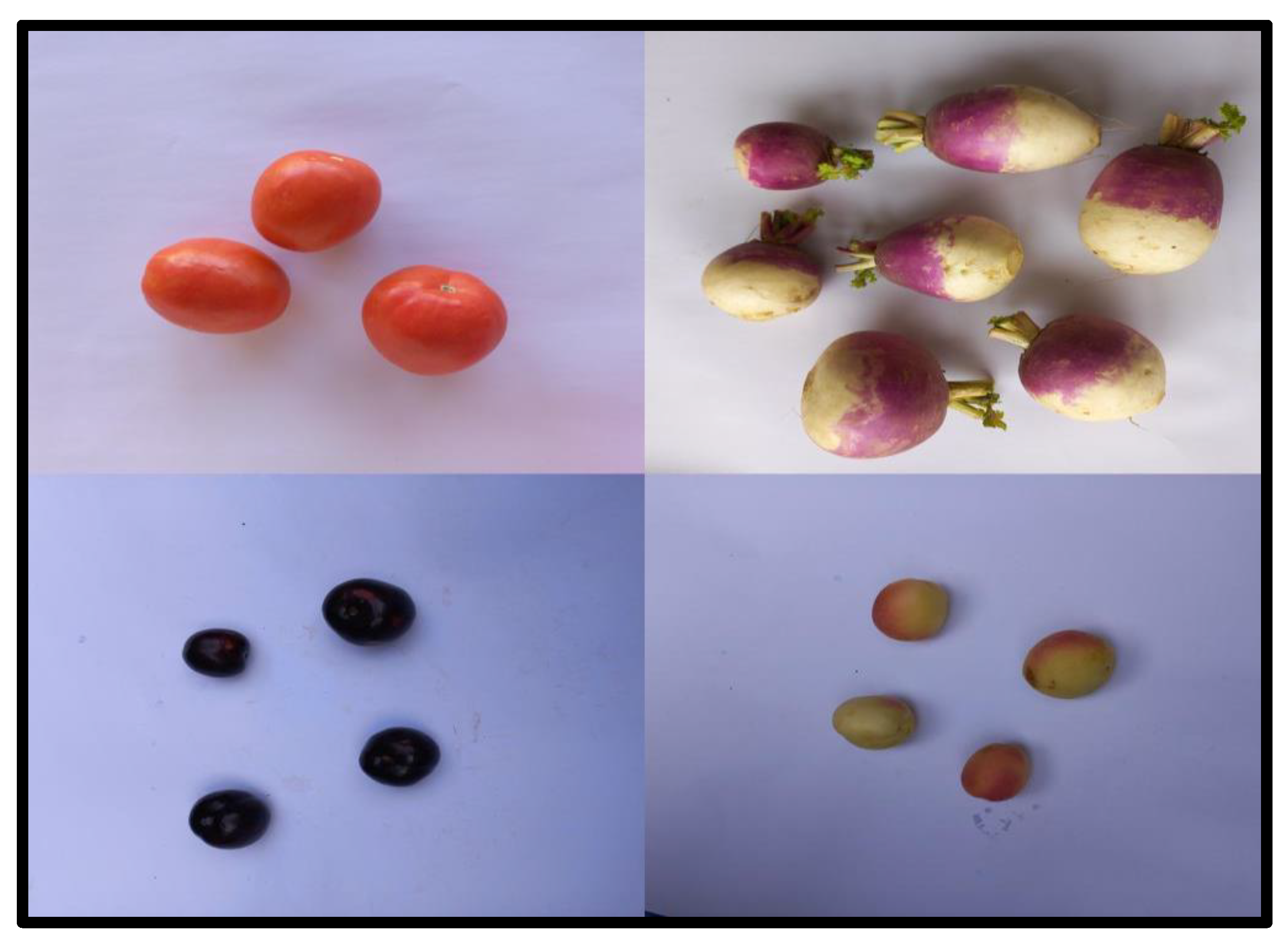 Applsci 13 08092 g006 Applsci 13 08092 g006