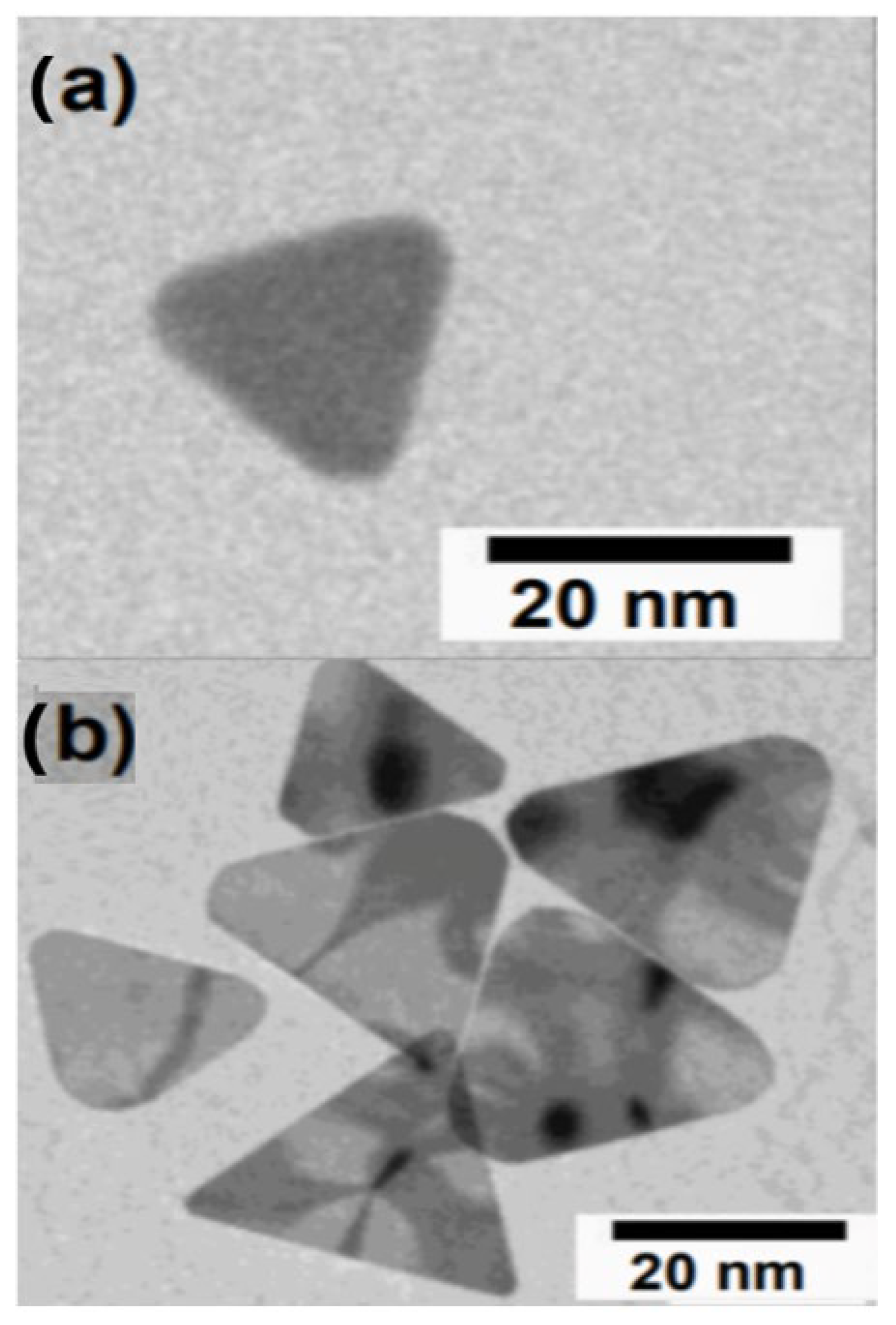 Applsci 13 08100 g003