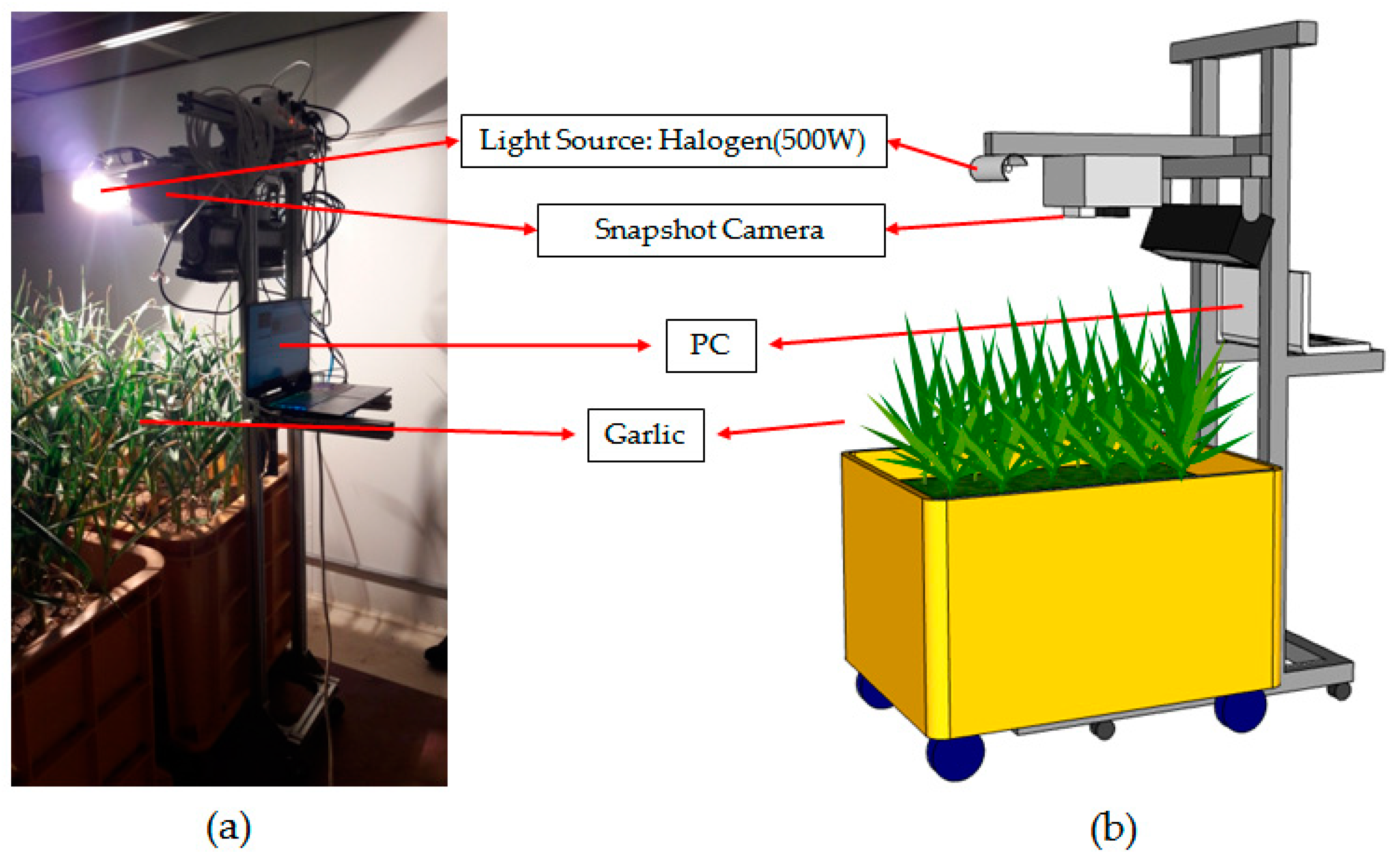 Applsci 13 08133 g001 Applsci 13 08133 g001
