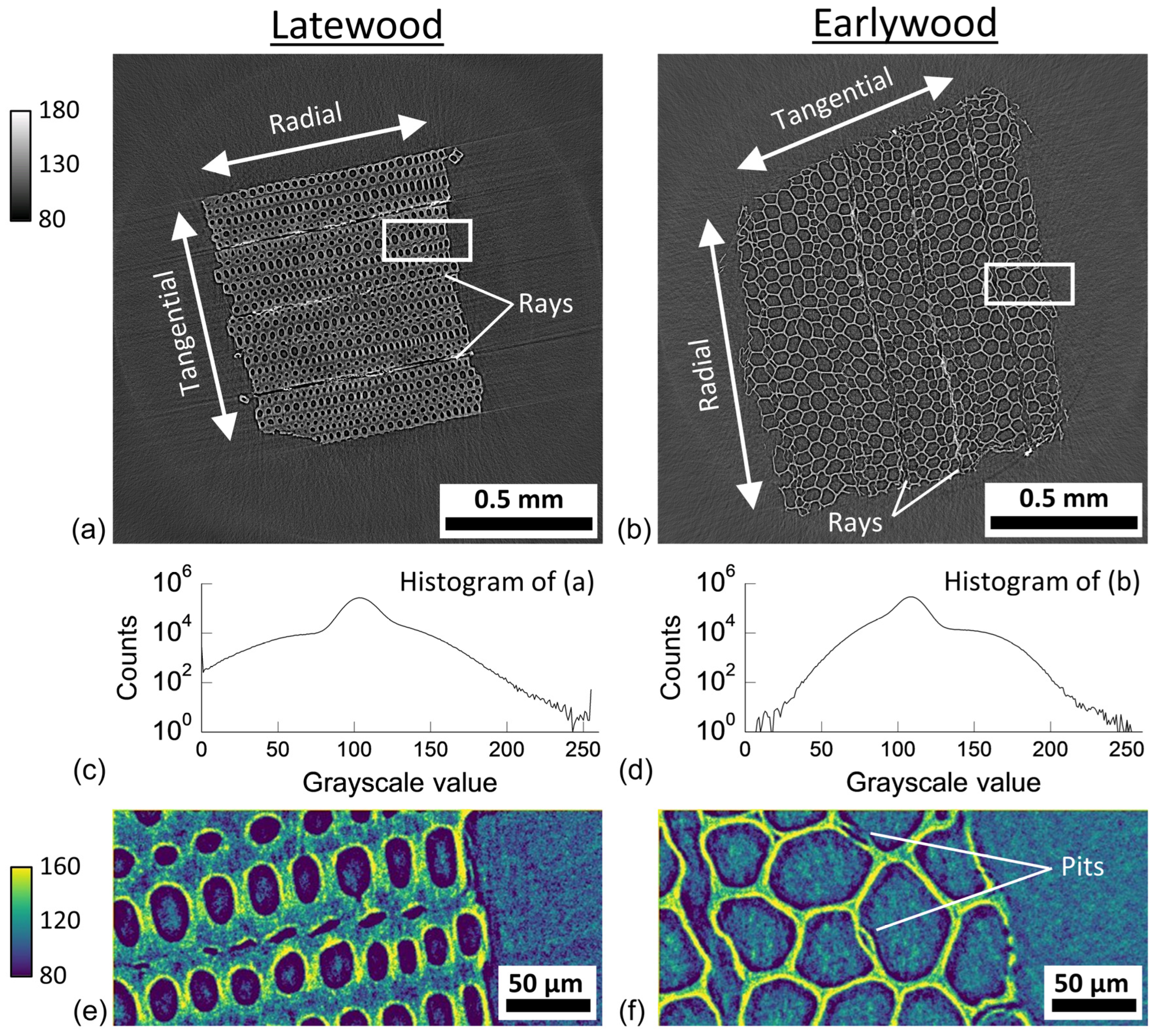 Applsci 13 08146 g004 Applsci 13 08146 g004