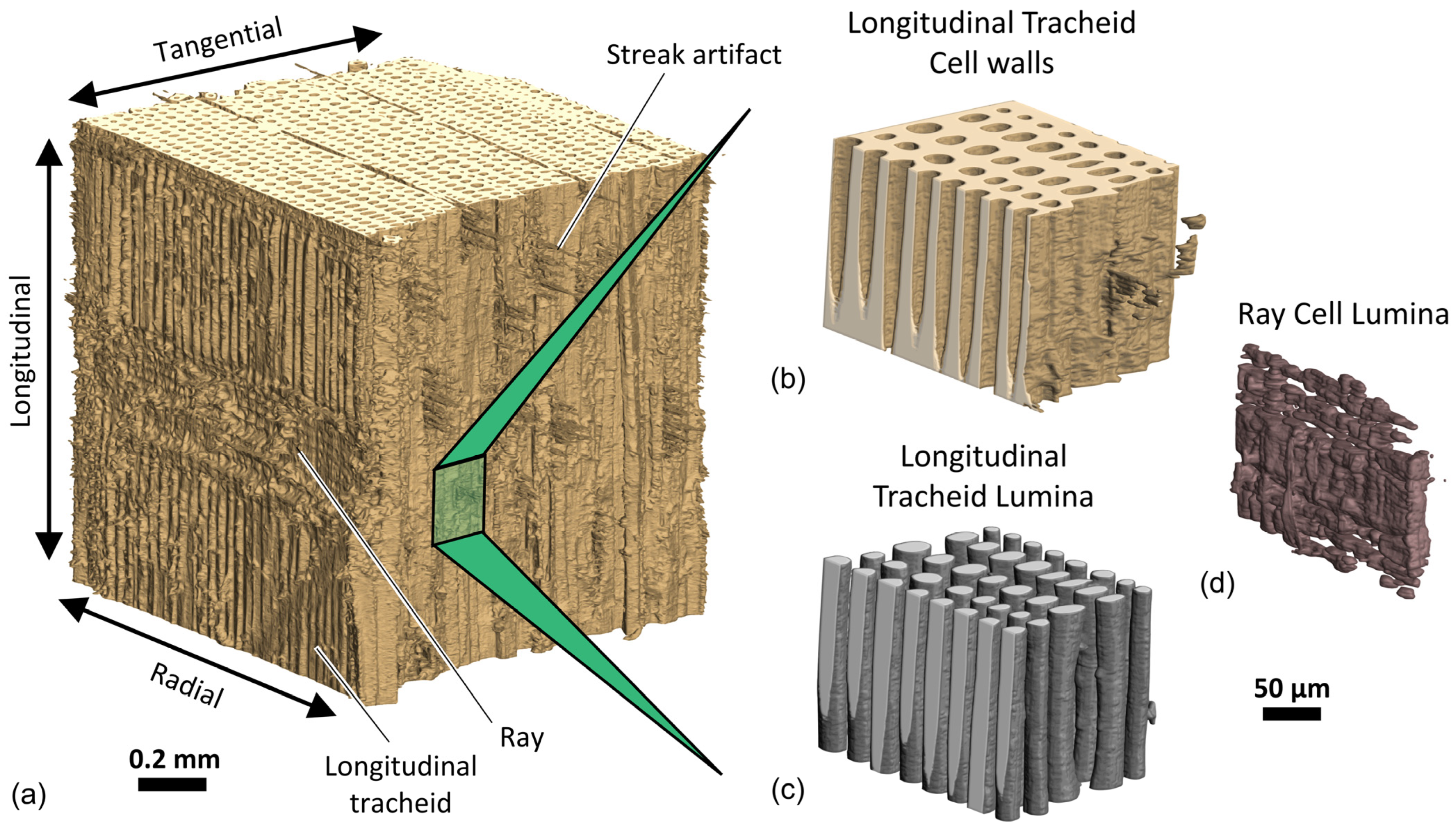 Applsci 13 08146 g009 Applsci 13 08146 g009