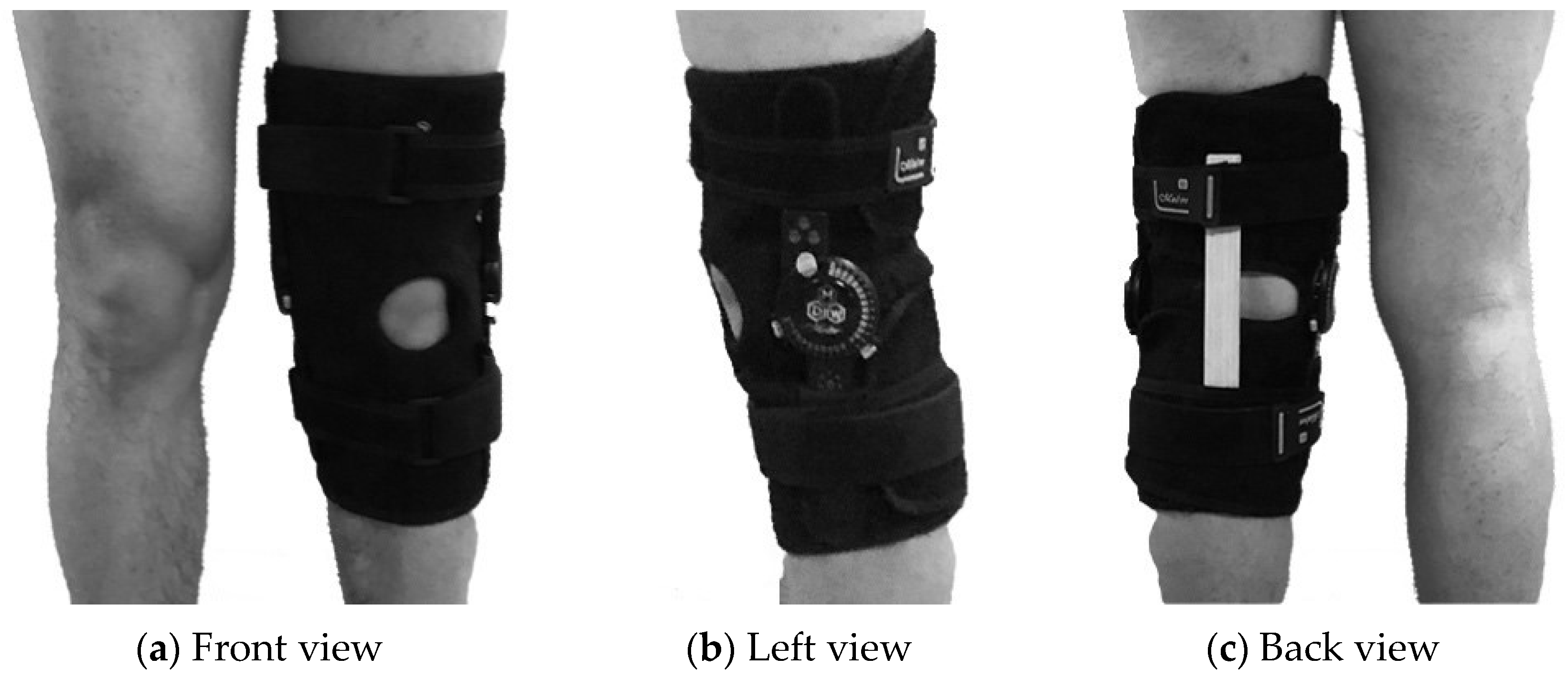 Applsci 13 08184 g003