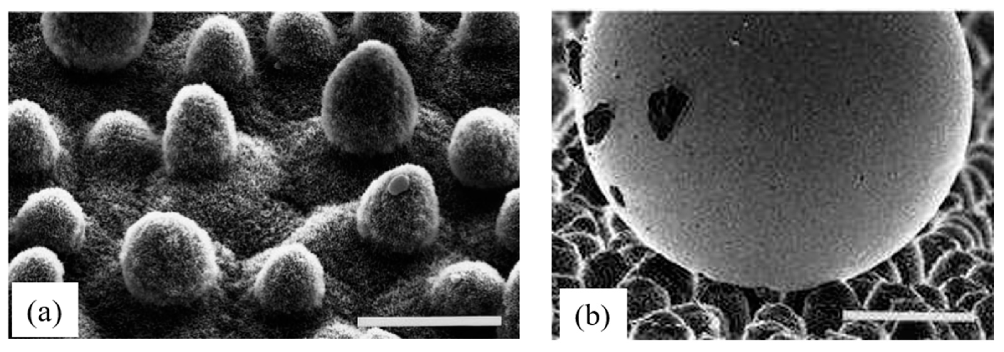 Applsci 13 08198 g011