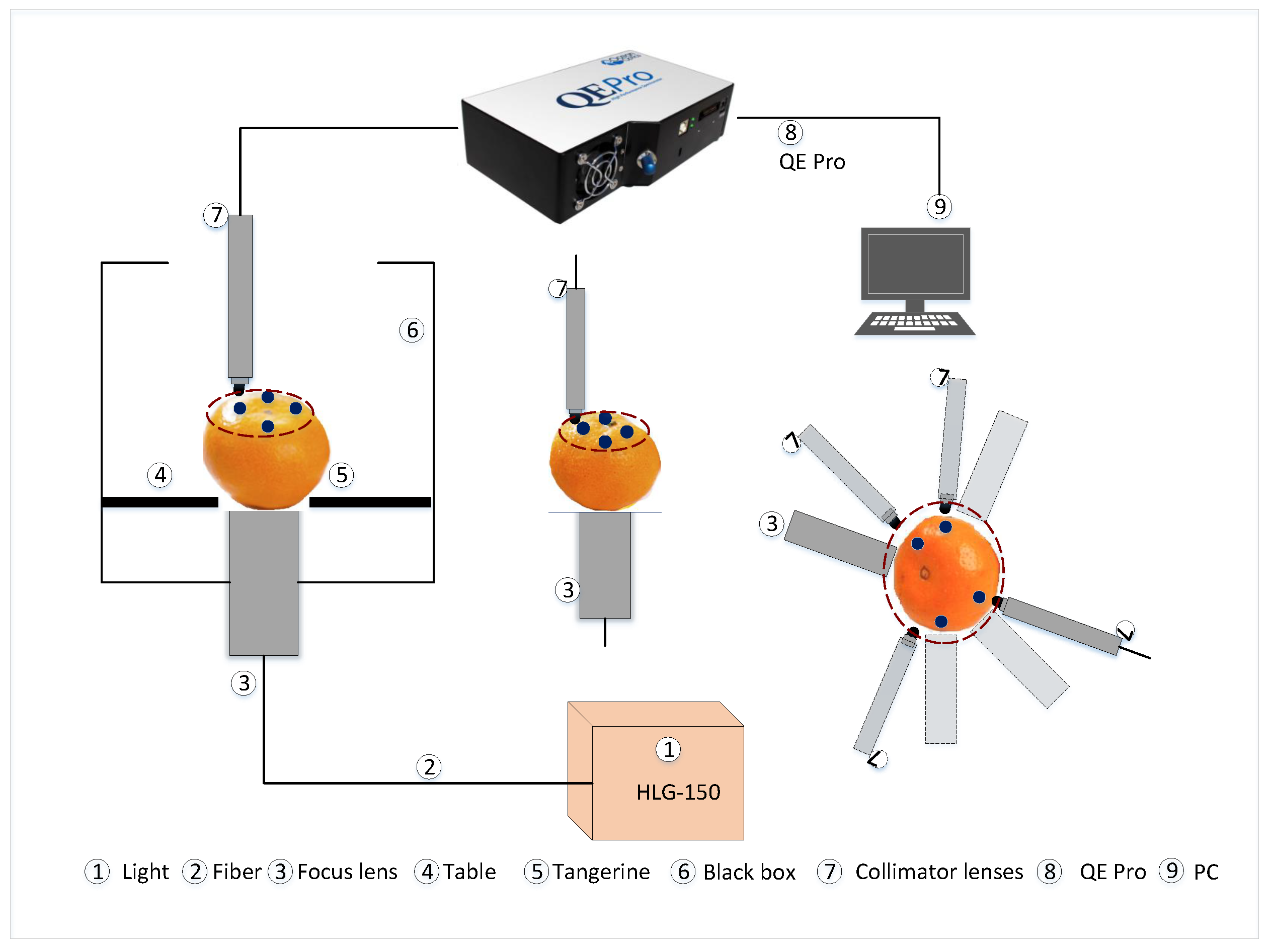 Applsci 13 08221 g001 Applsci 13 08221 g001