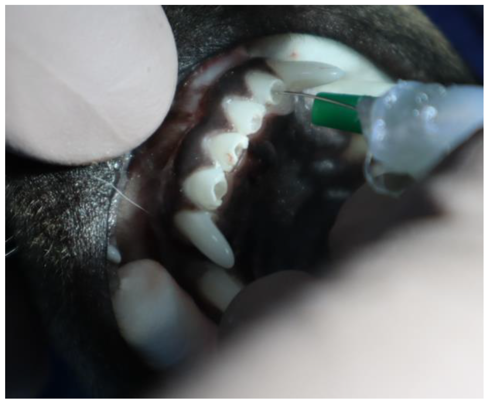 Applsci 13 08228 g001 Applsci 13 08228 g001