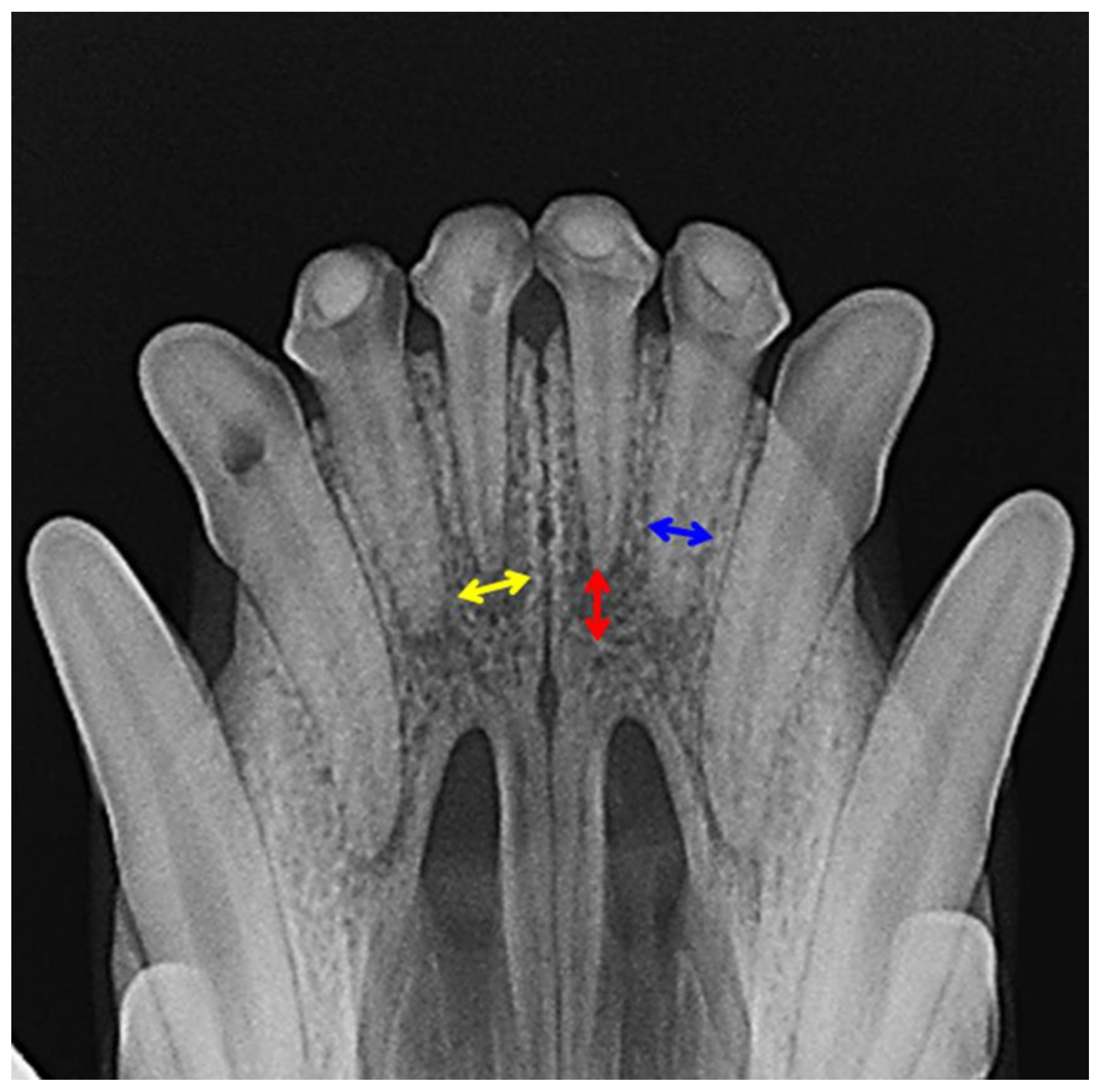 Applsci 13 08228 g002 Applsci 13 08228 g002