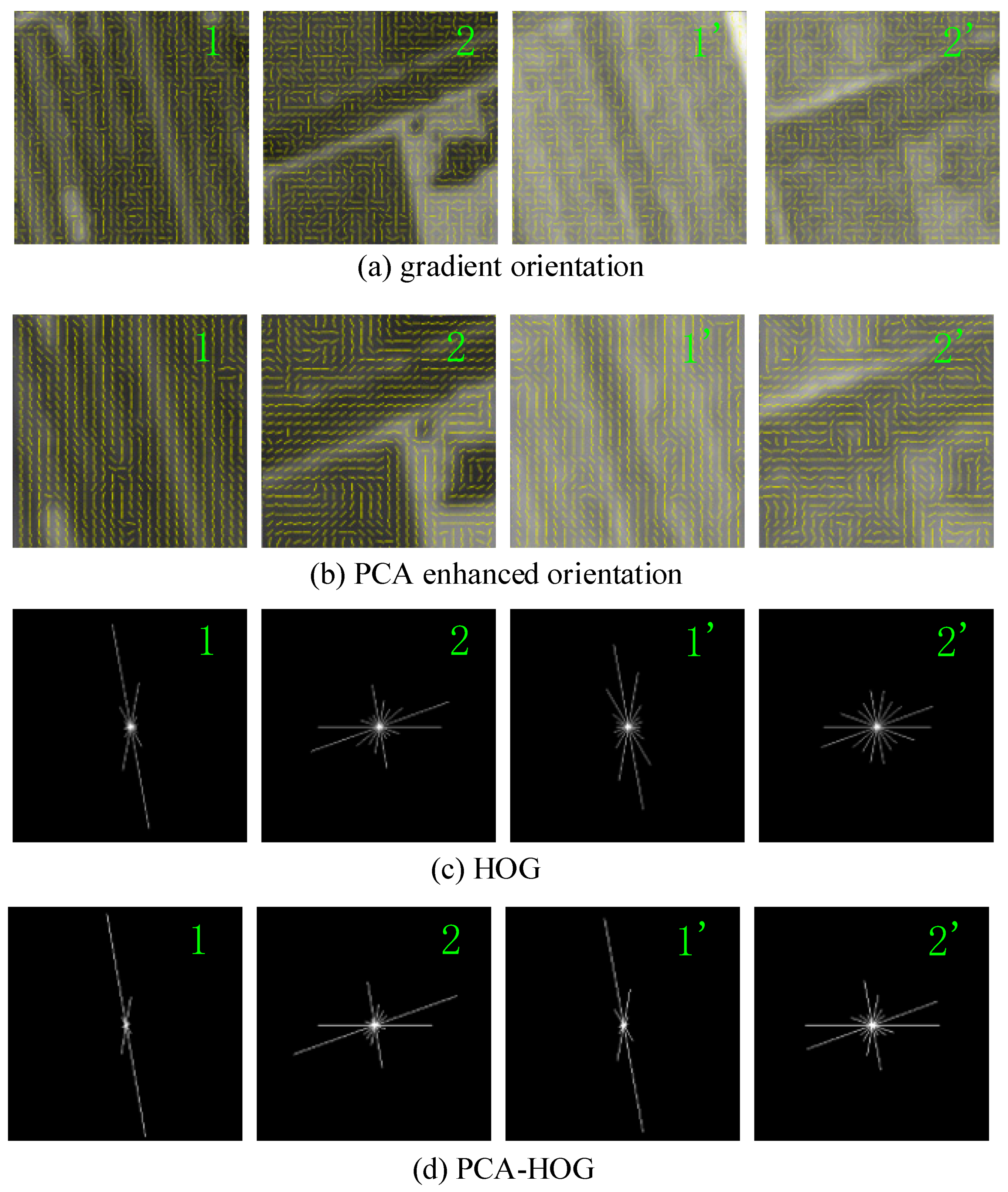 Applsci 13 08238 g003
