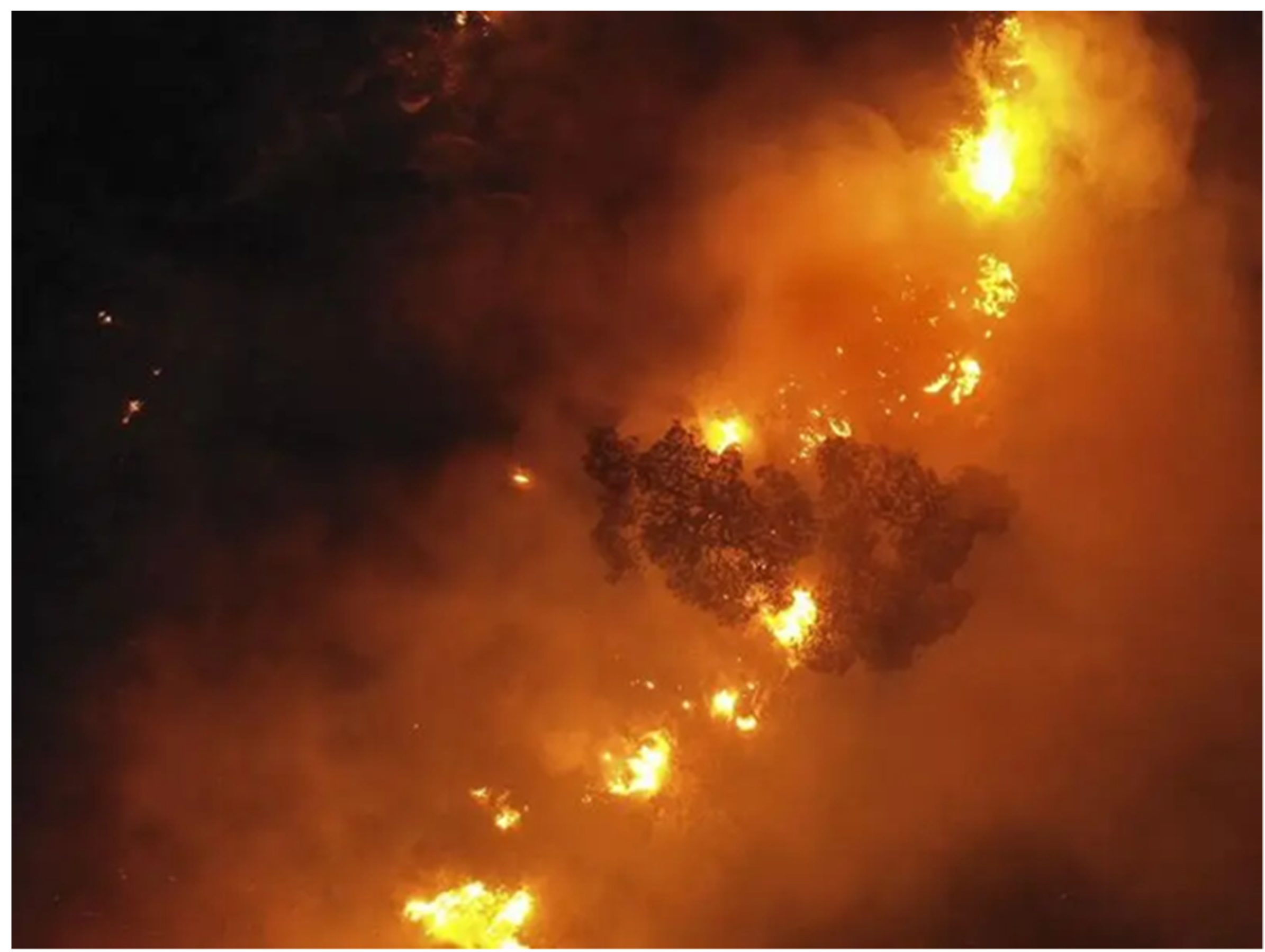 Applsci 13 08275 g001