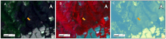 Applsci 13 08289 g005