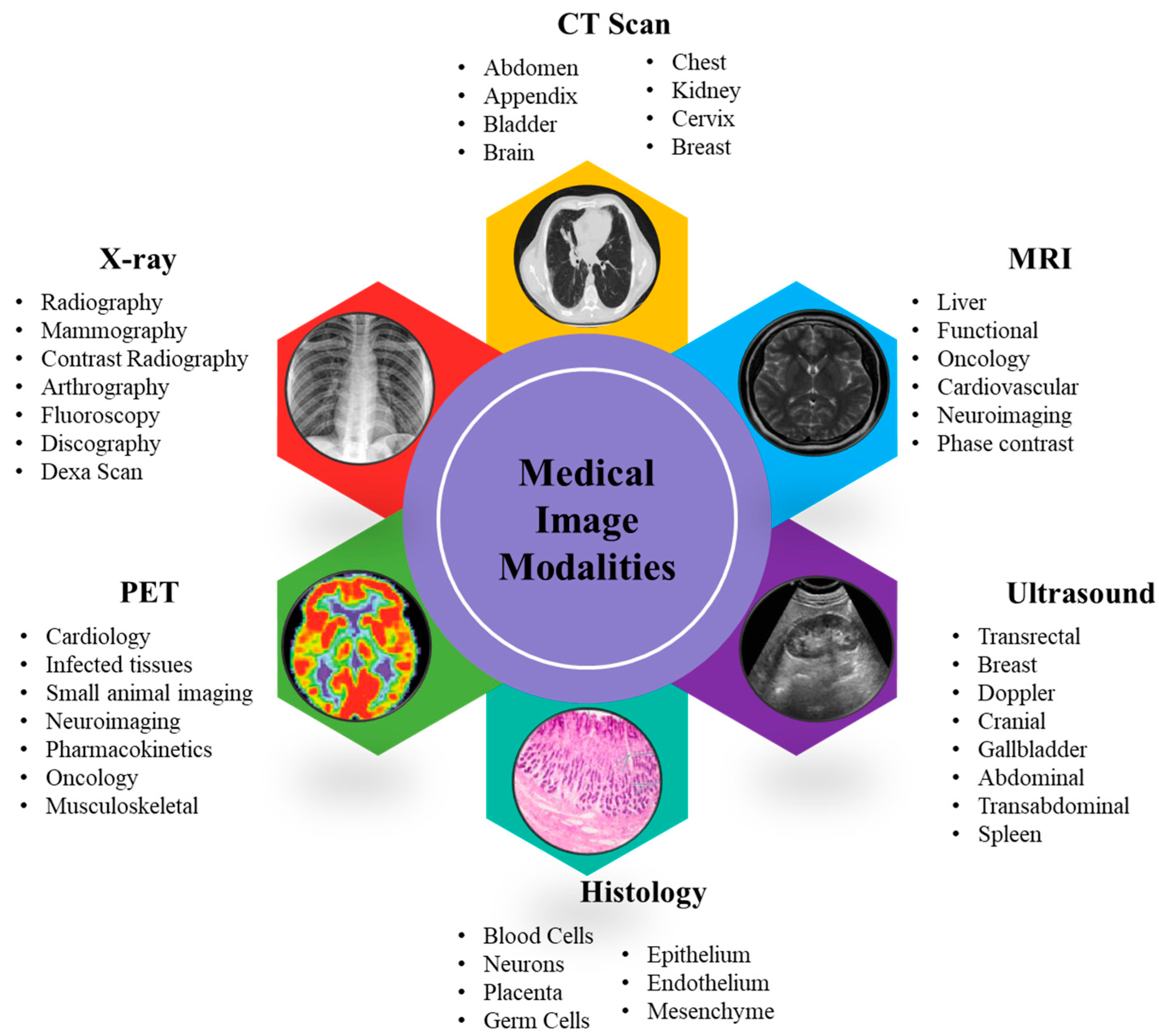 Applsci 13 08295 g004 Applsci 13 08295 g004