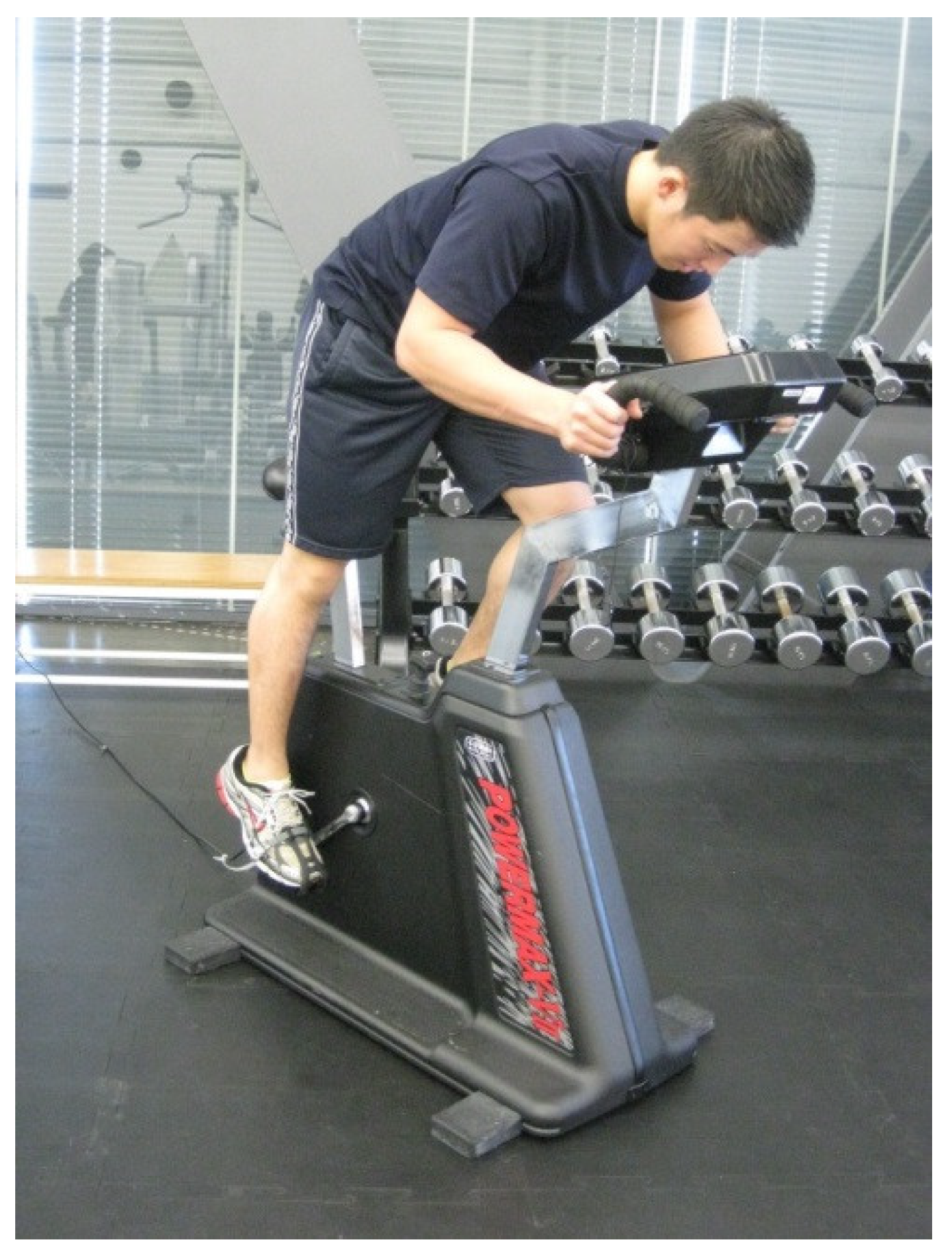 Applsci 13 08296 g002