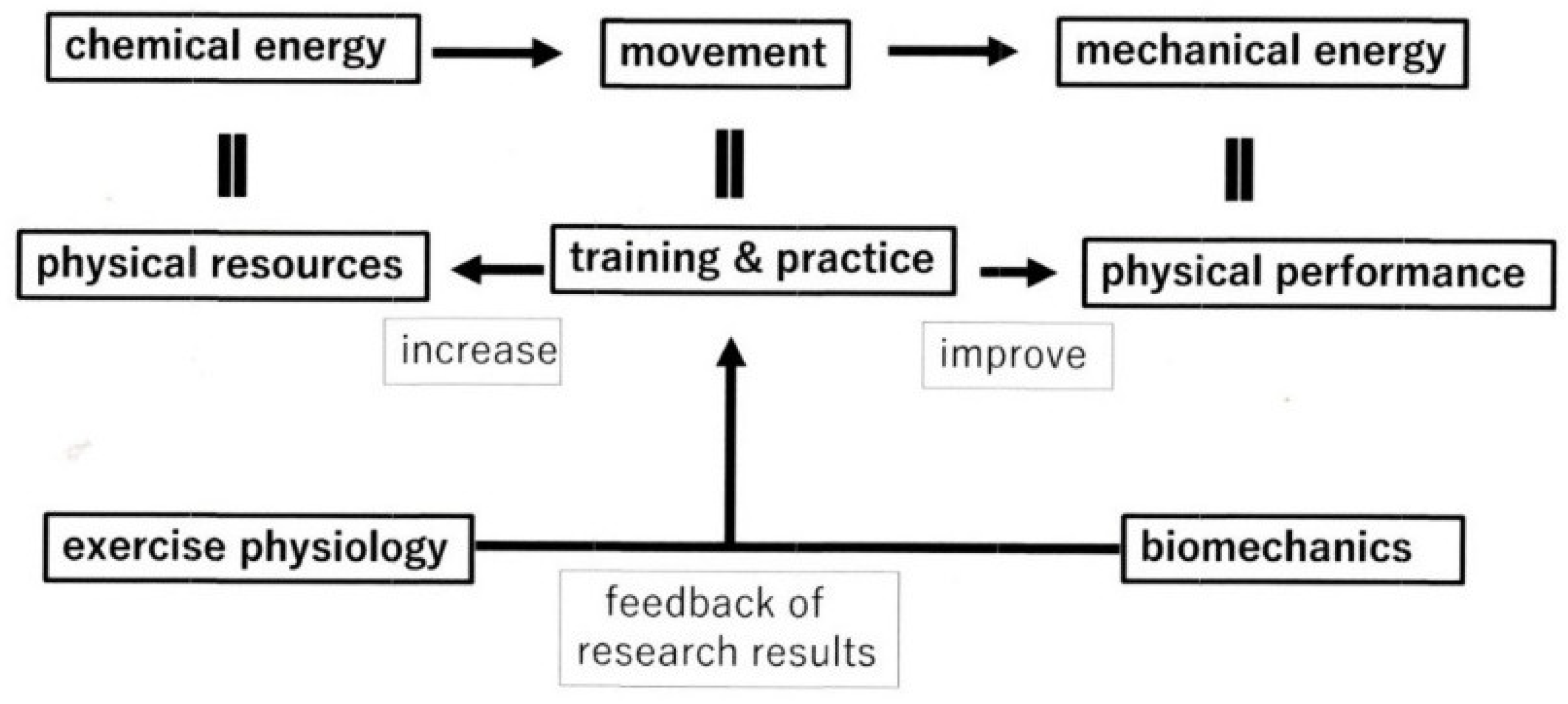 Applsci 13 08296 g004